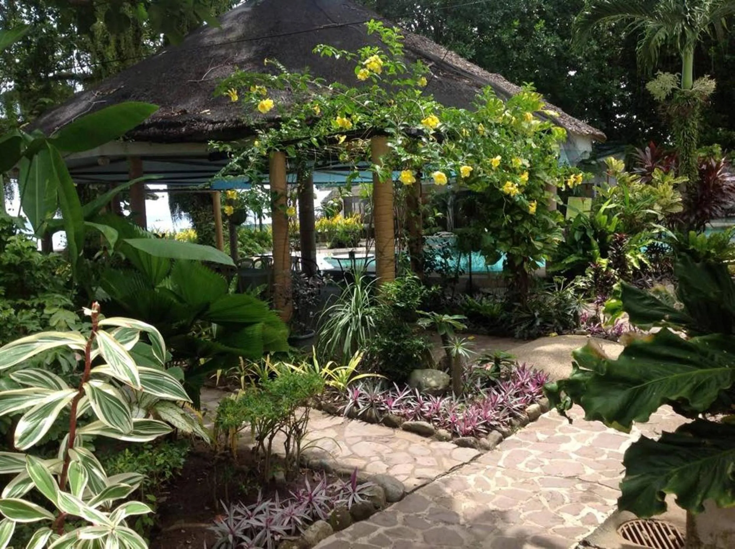 Garden in Camiguin Island Golden Sunset Beach Club