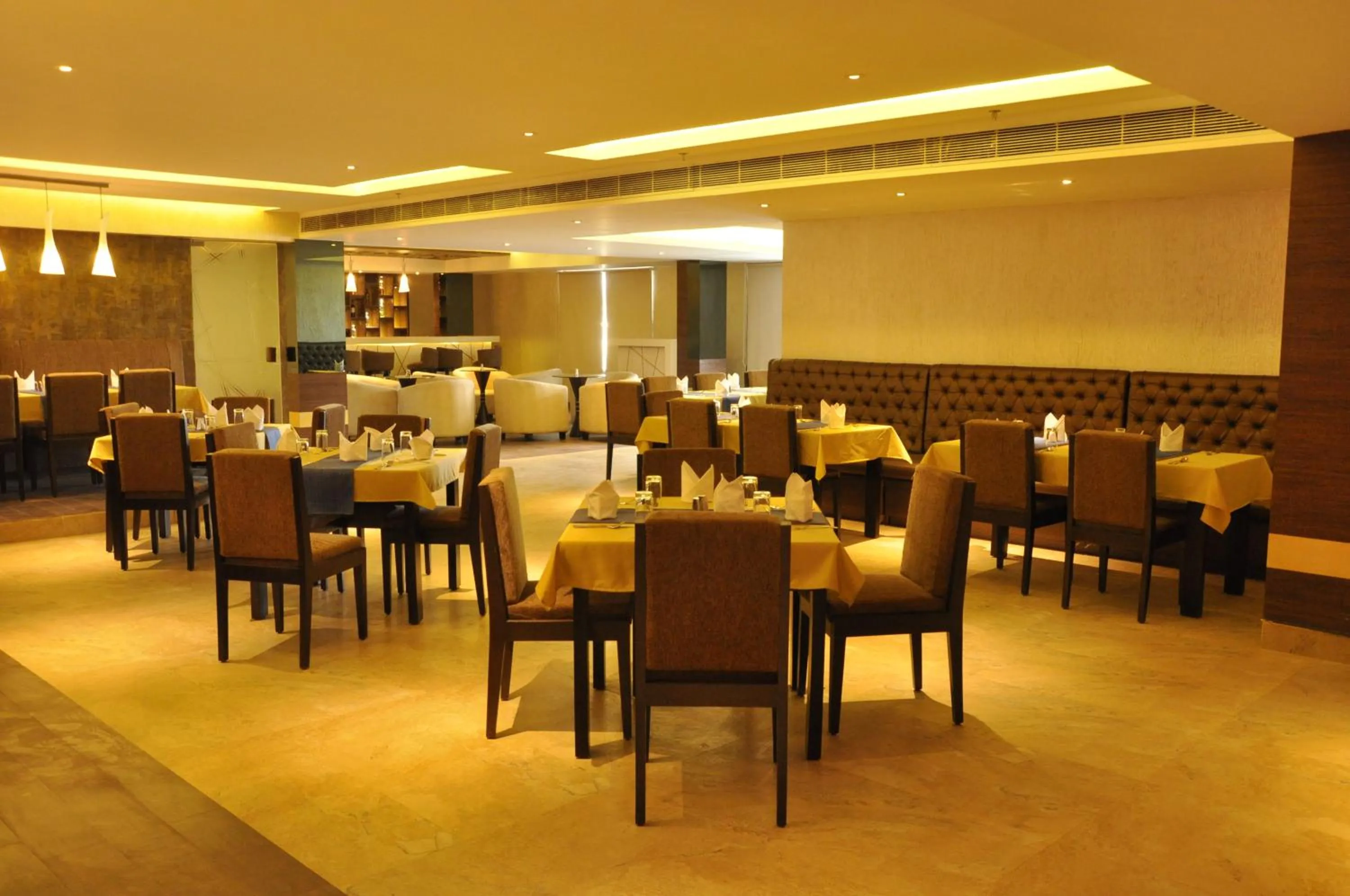 Food close-up in Sapna Clarks Inn Lucknow