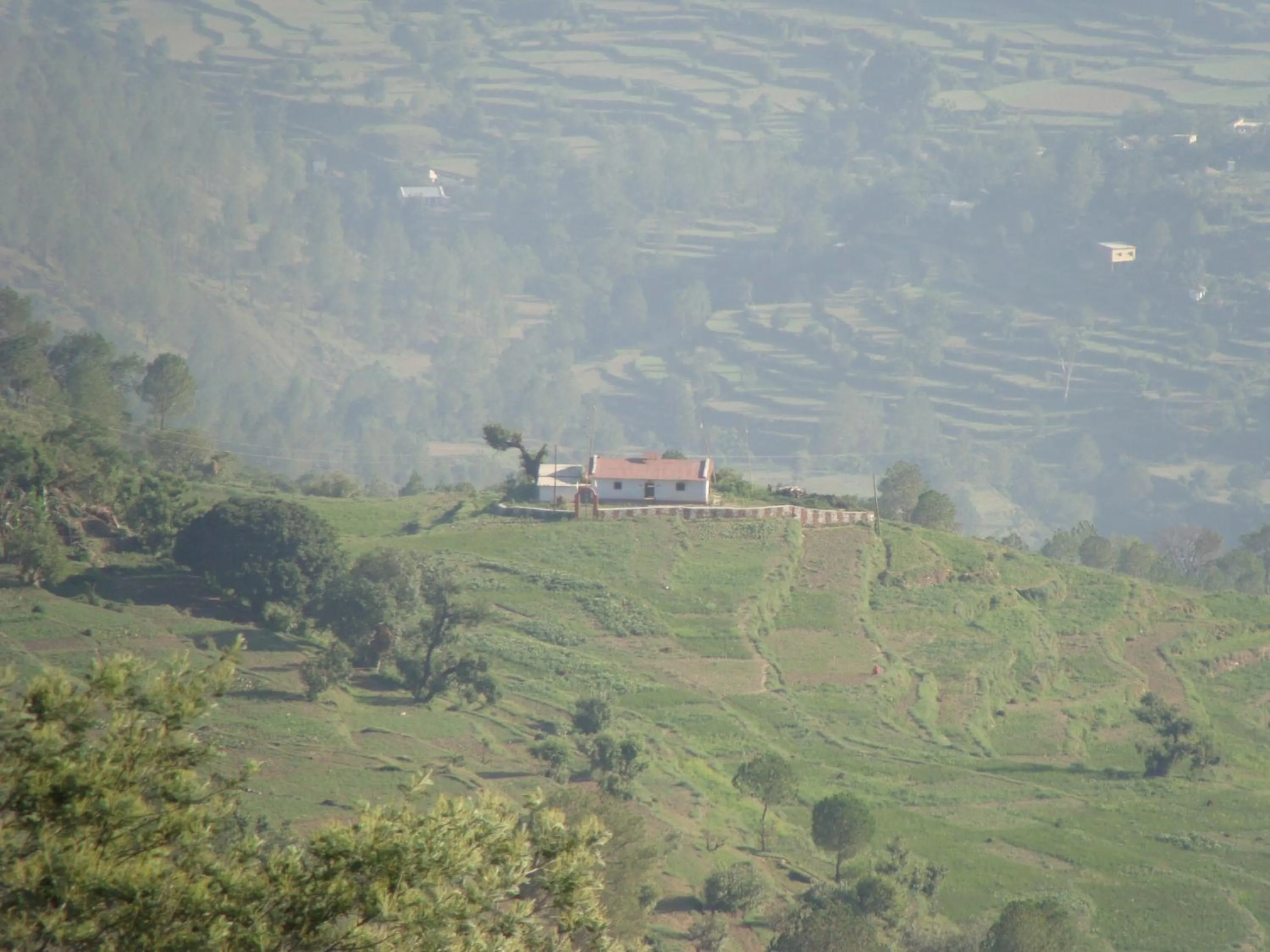 Natural landscape in Woodsvilla Residency Ranikhet