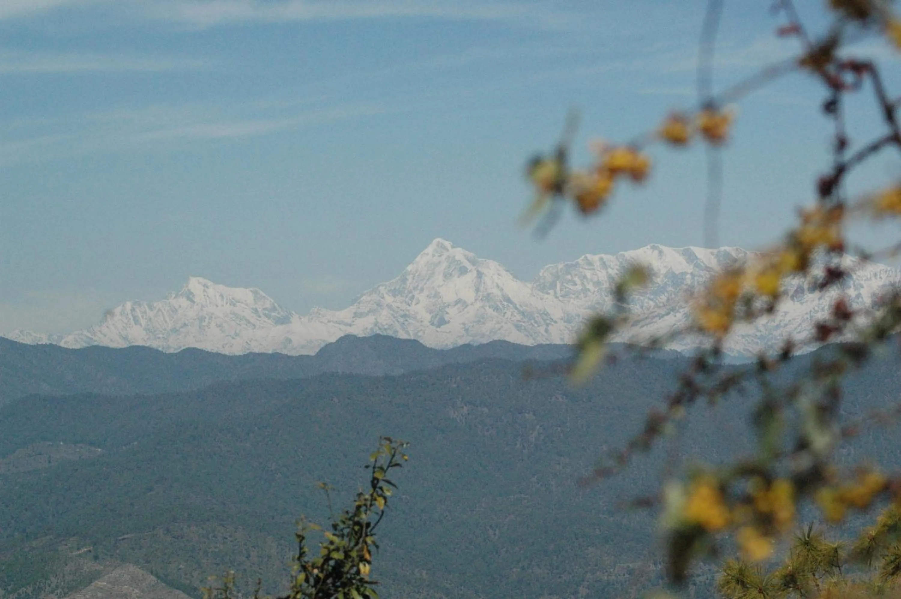 Mountain view in Woodsvilla Residency Ranikhet