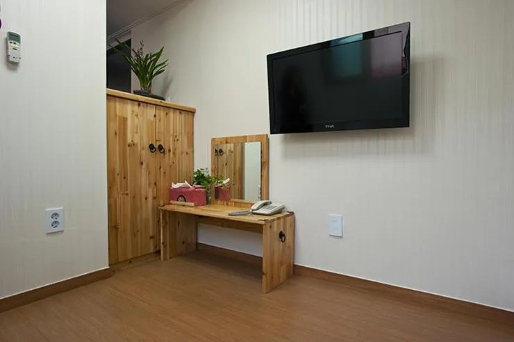 TV and multimedia in Myeongdong Ecohouse