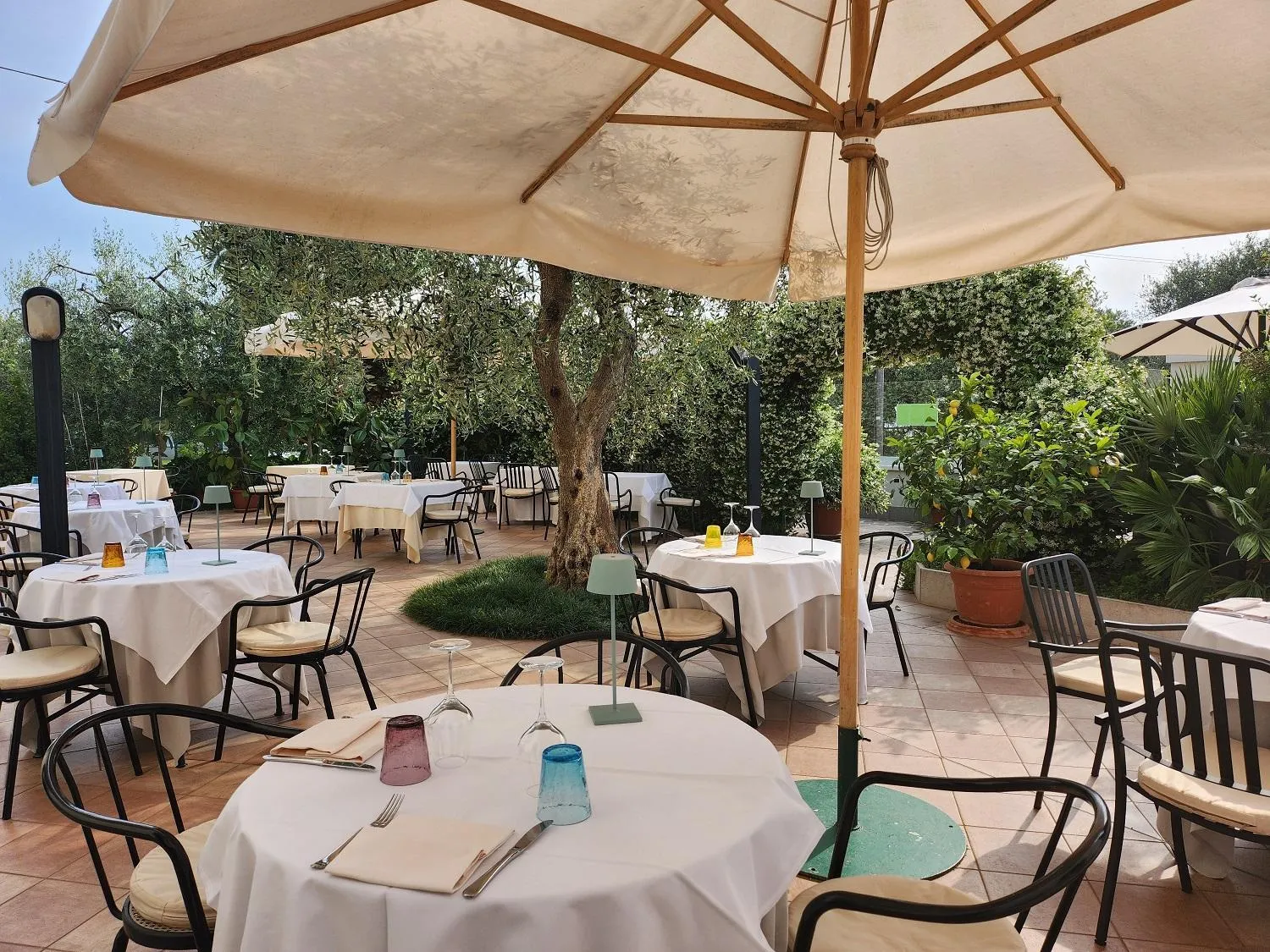 Restaurant/places to eat in Hotel 2 Palme