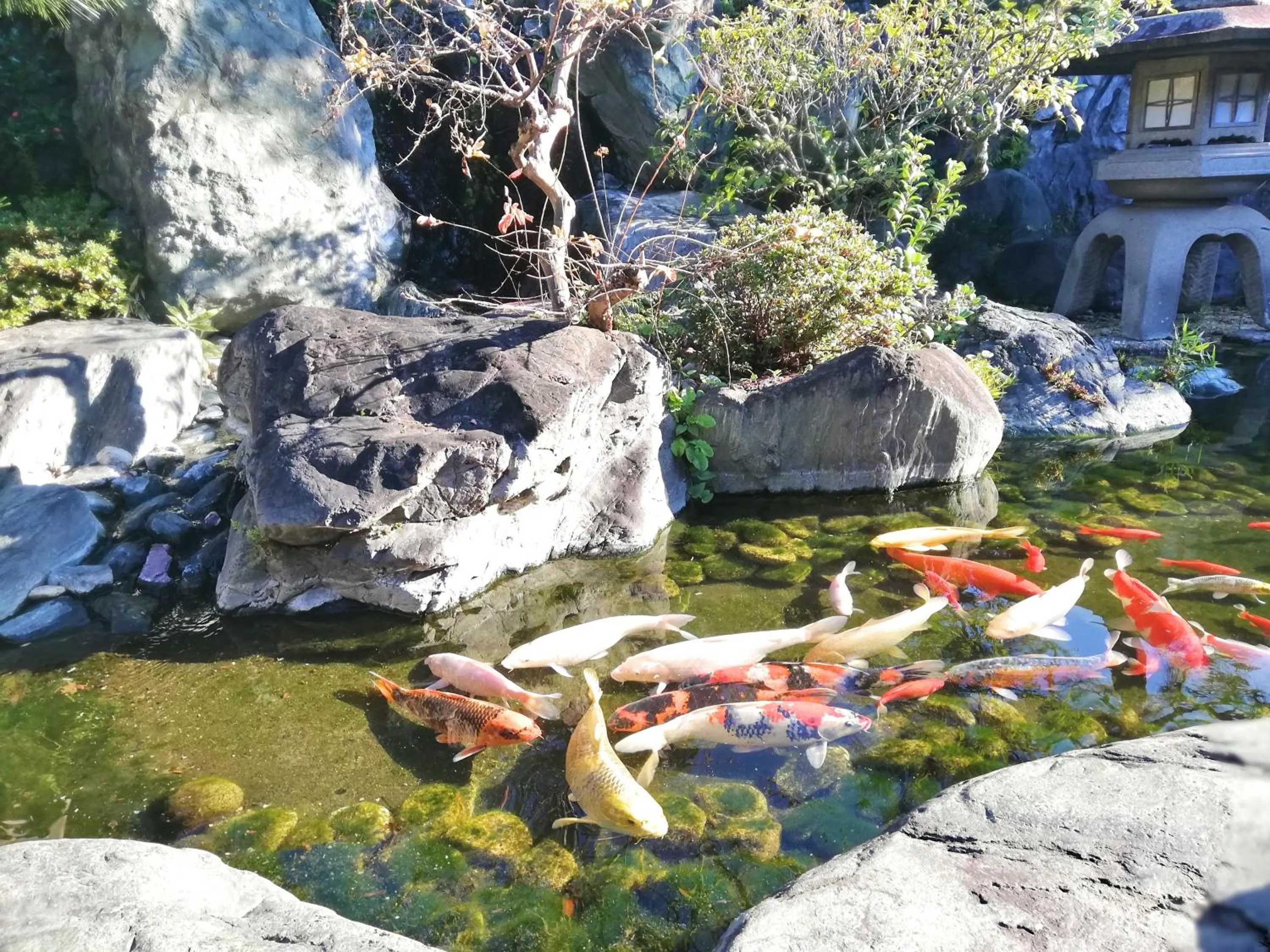 Facade/entrance in Ishinoya Izunagaoka - TKP Hotels & Resorts