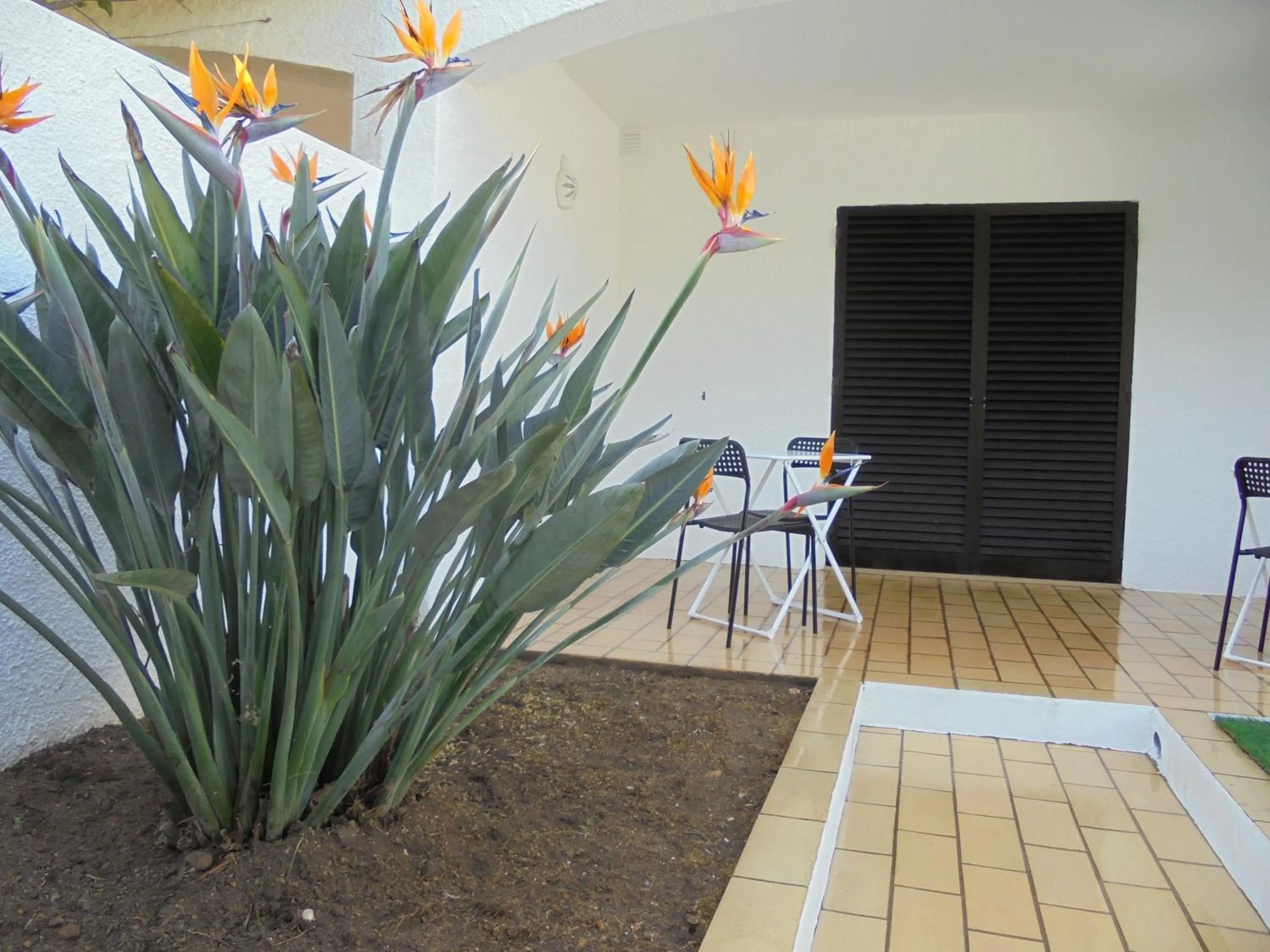 Patio in Lagos Charming Villas