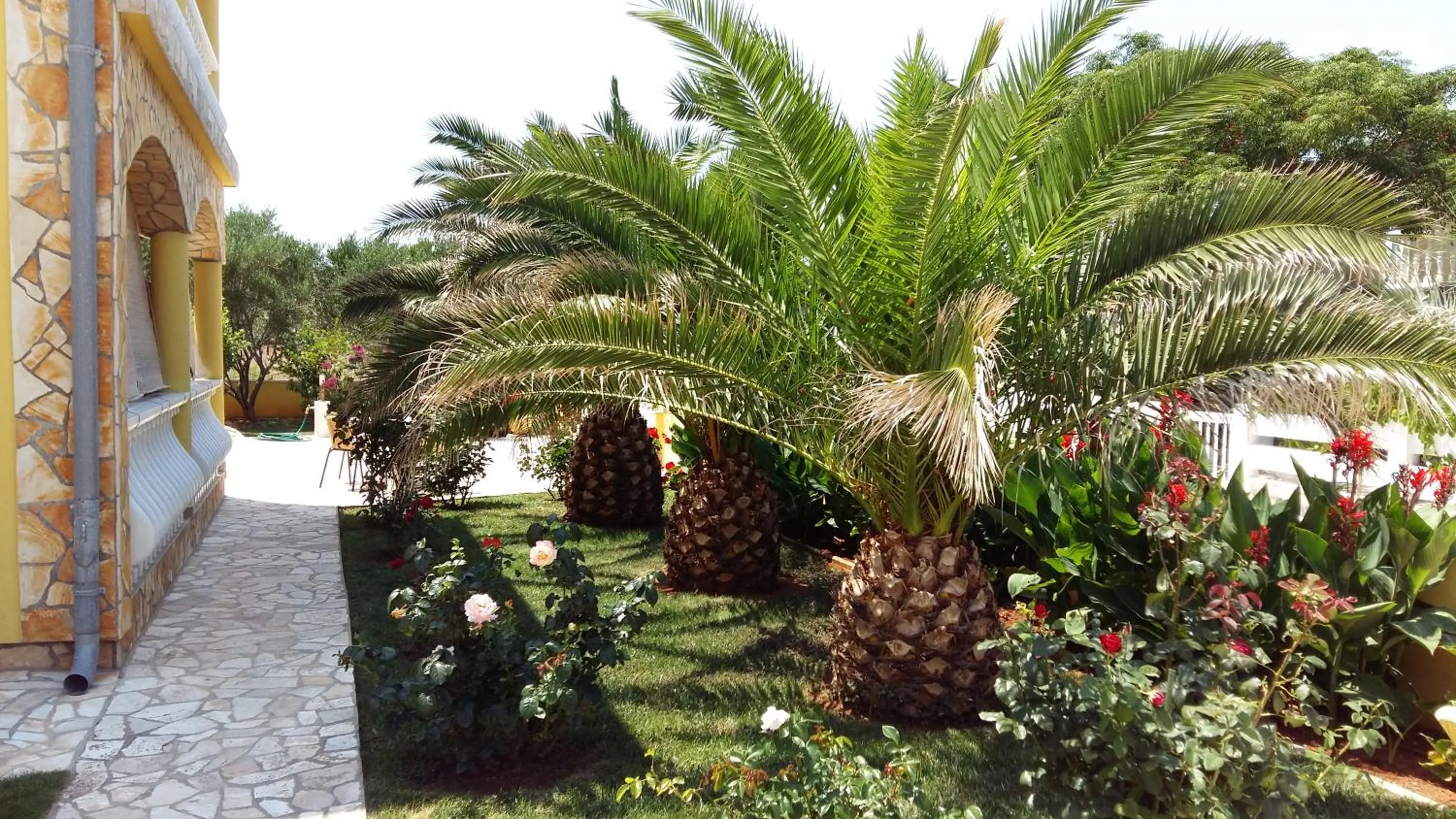 Garden in Apartments Vila Ana
