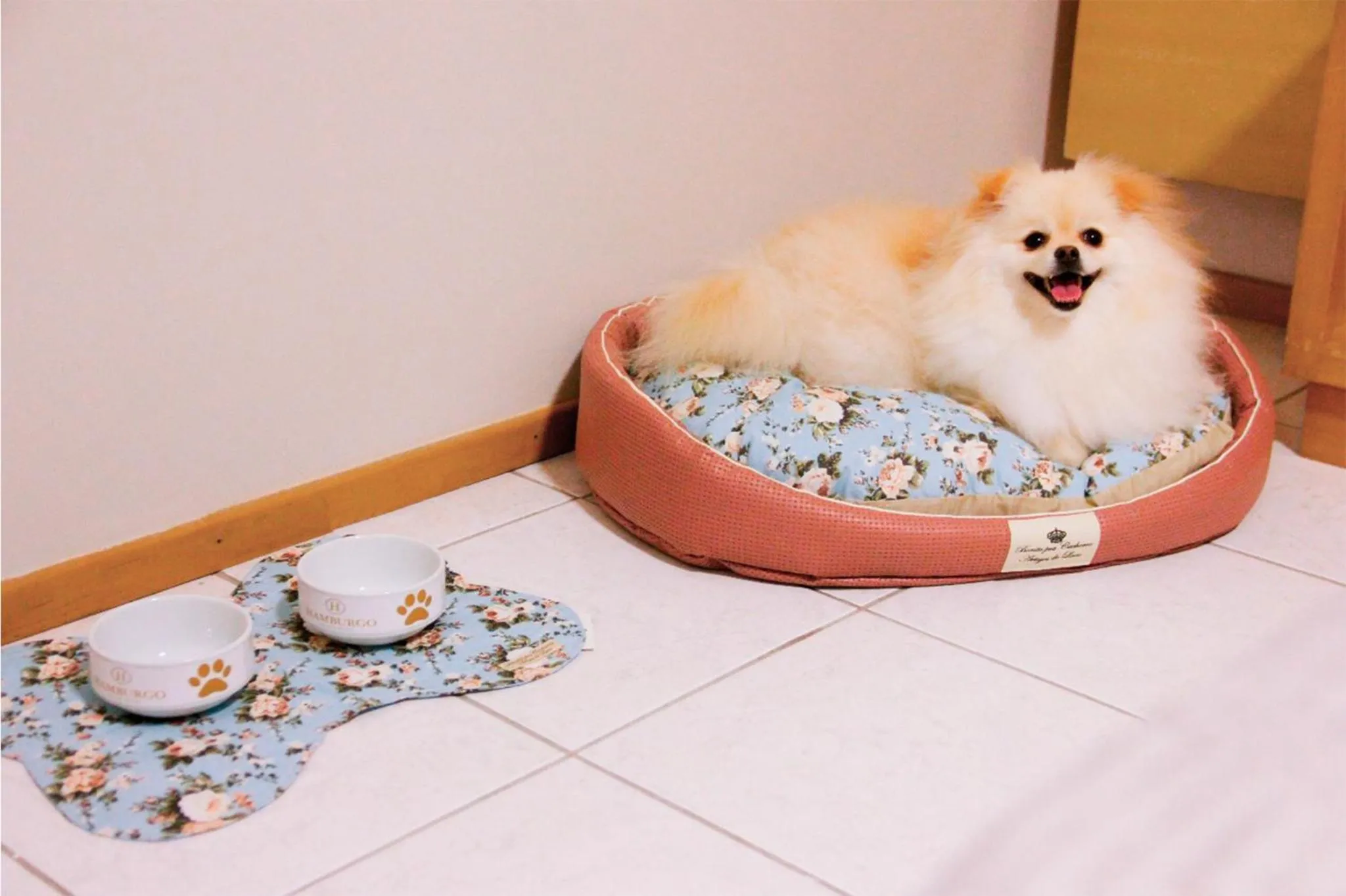 Pets in Hamburgo Palace Hotel