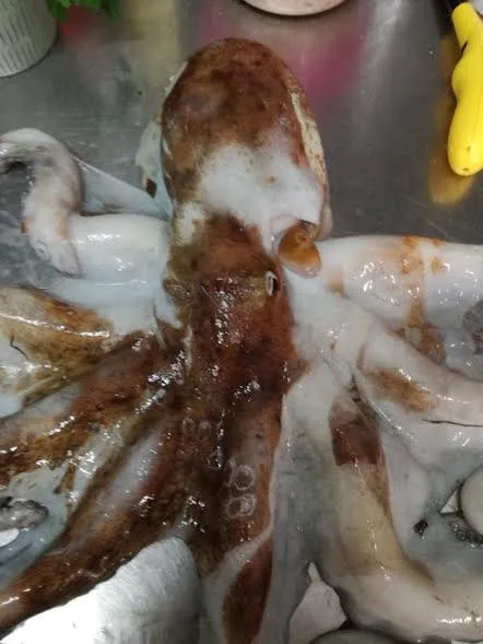 Property building in ChrisMare Hotel