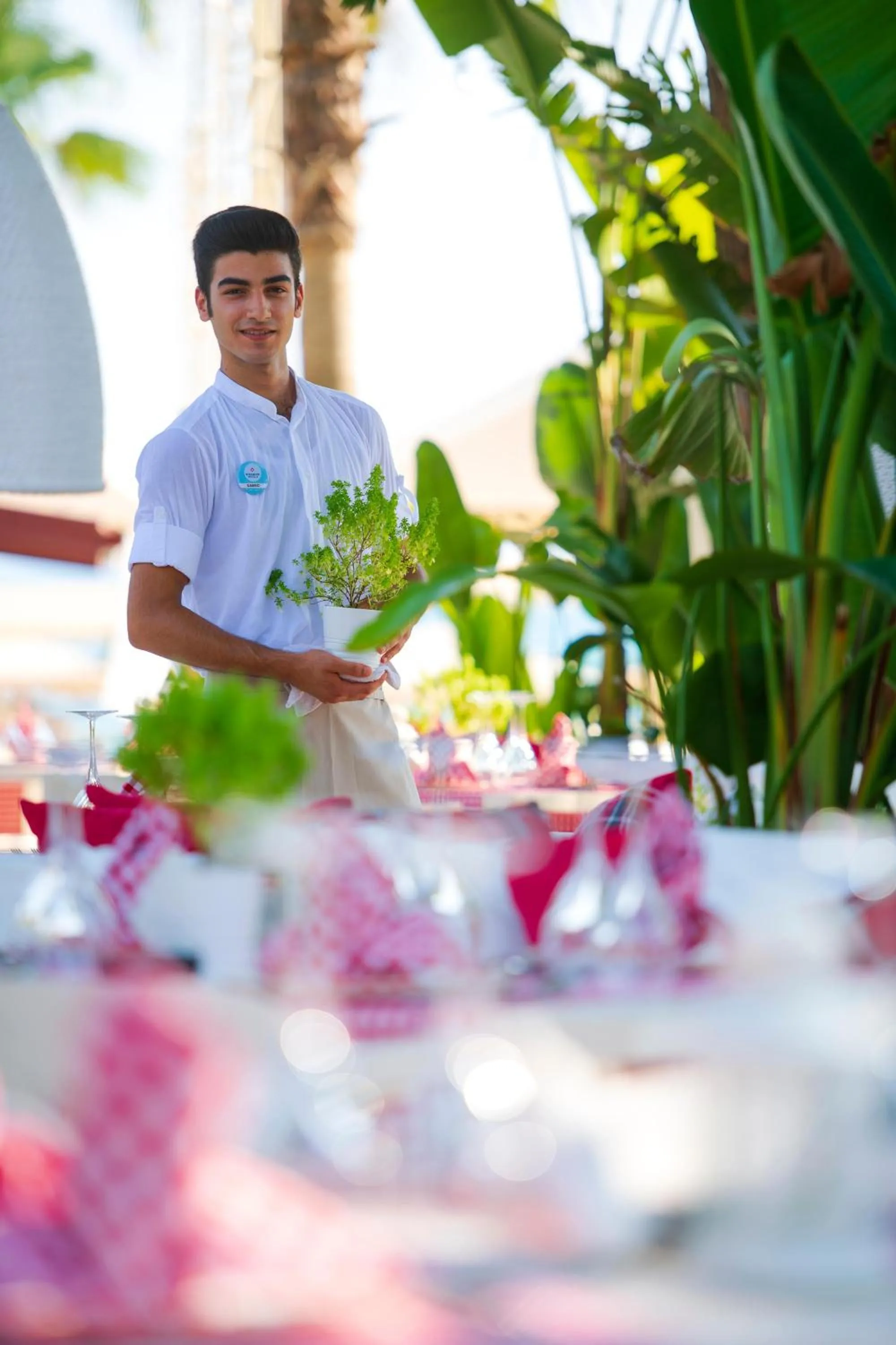 Restaurant/places to eat in Miramare Beach Hotel - Ultra All Inclusive