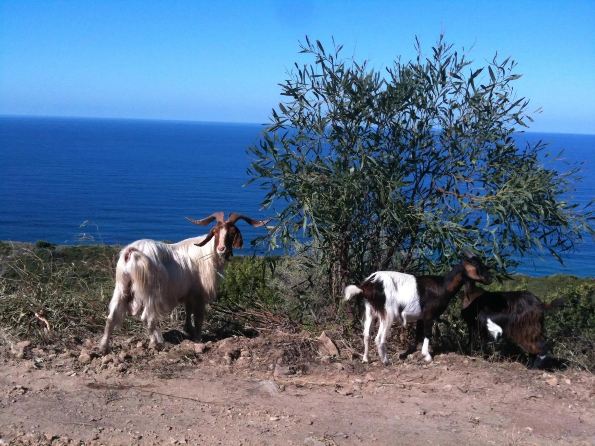 Hiking in B&B BentueMari