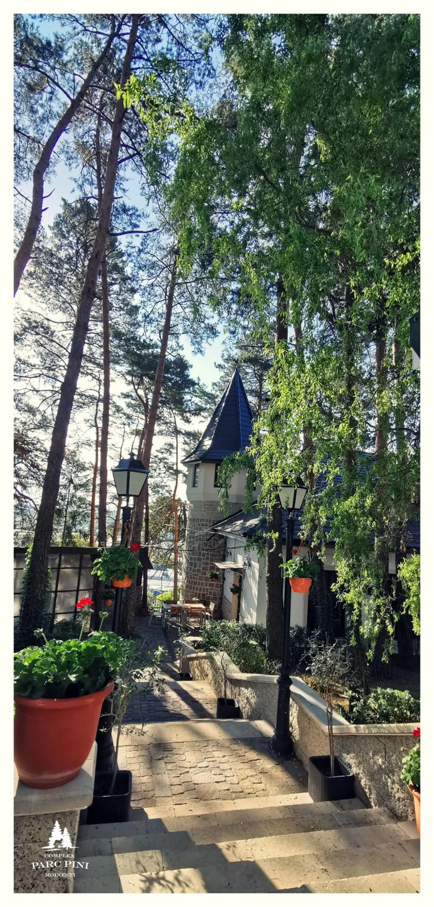 Complex Parc Pini Moinesti