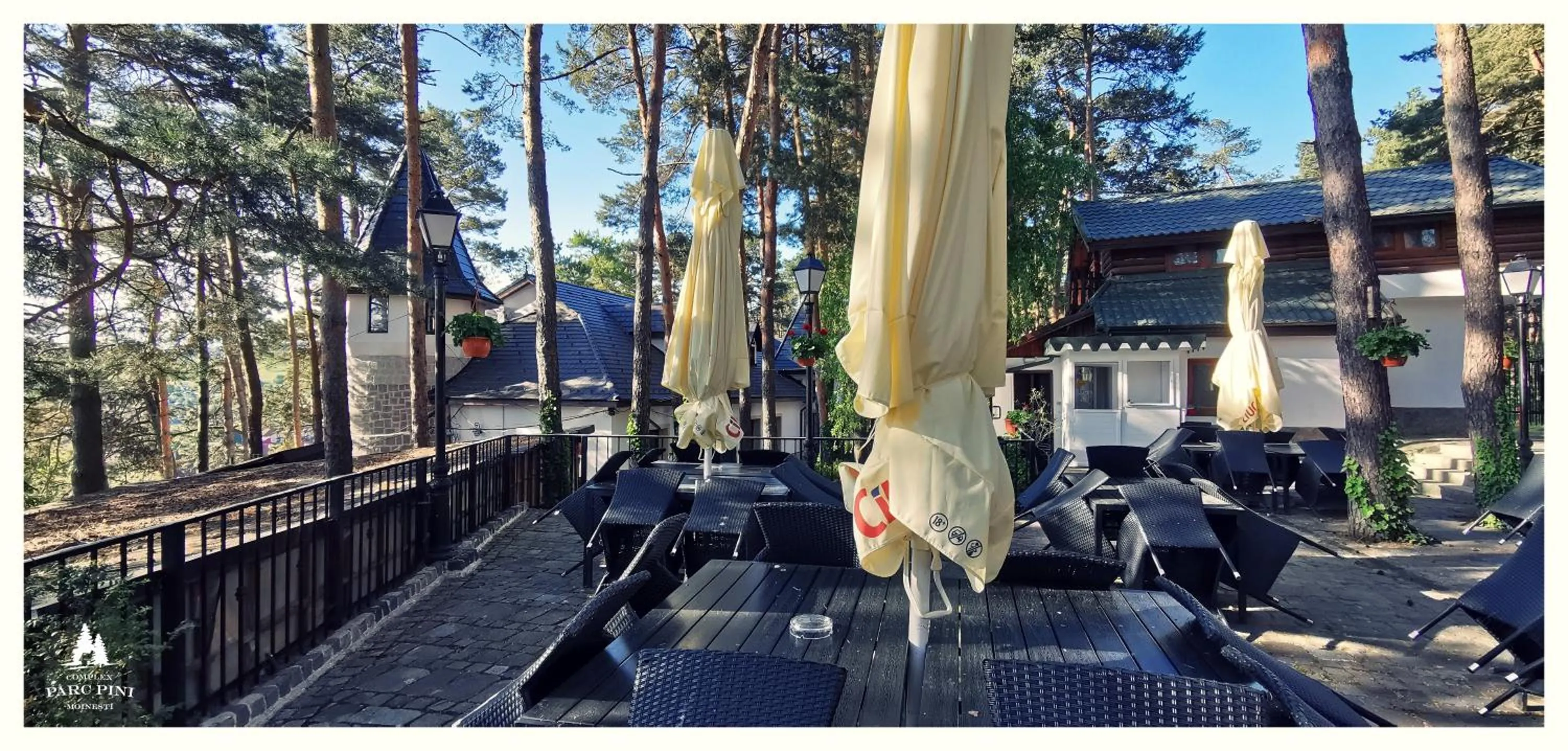 Complex Parc Pini Moinesti