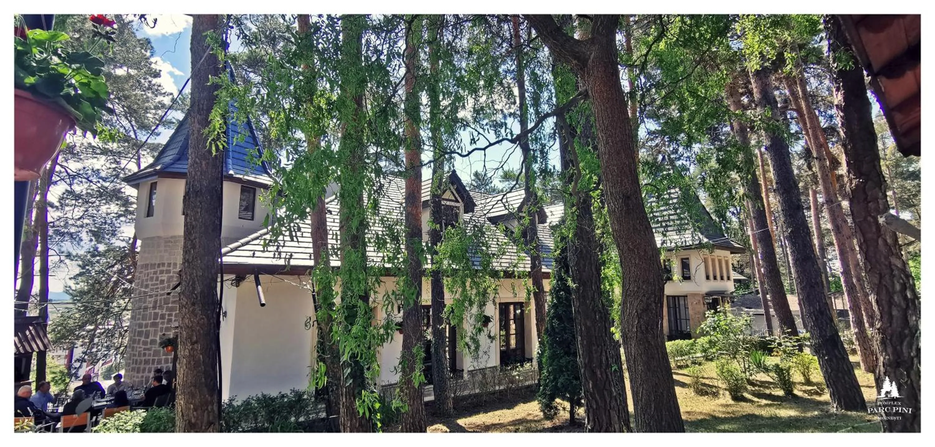 Complex Parc Pini Moinesti