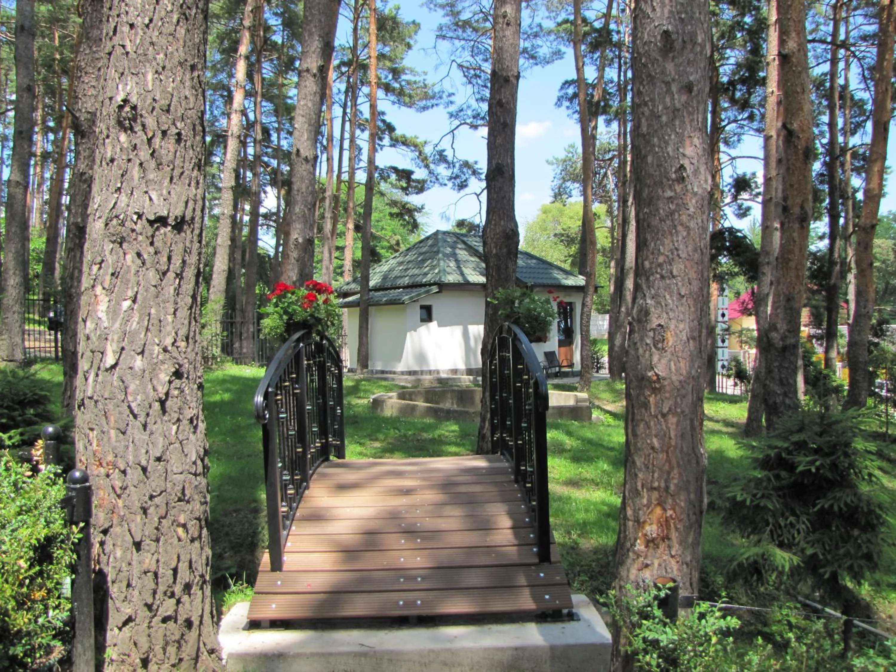 Restaurant/places to eat in Complex Parc Pini Moinesti