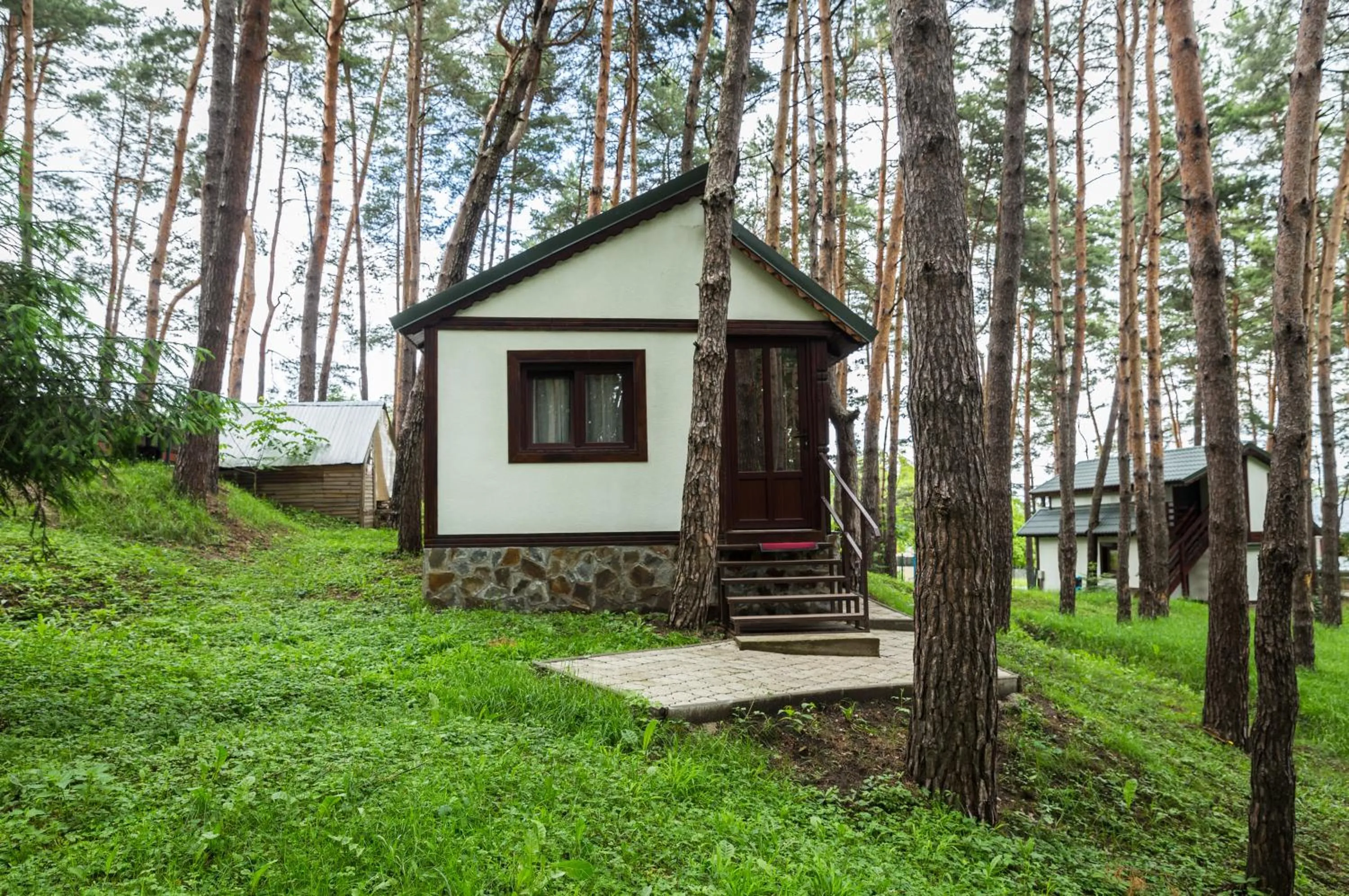 On site in Complex Parc Pini Moinesti