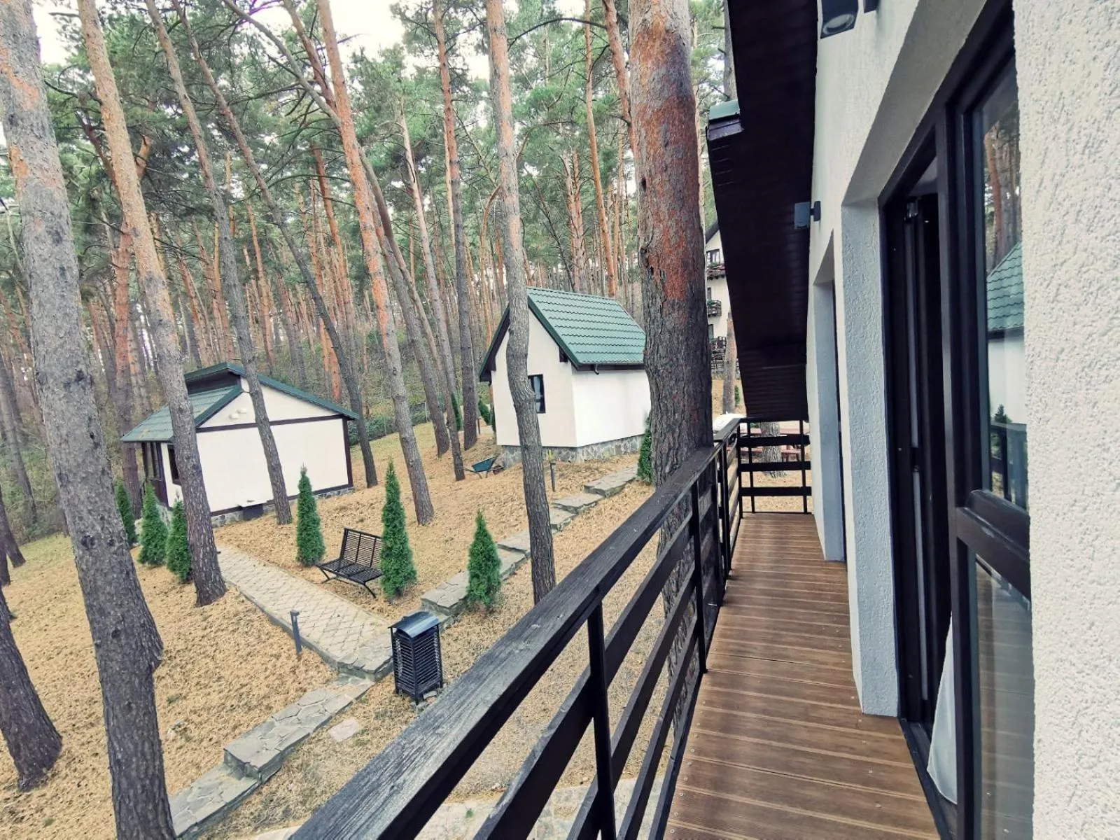 Complex Parc Pini Moinesti