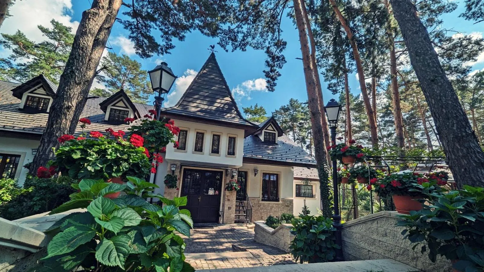 Complex Parc Pini Moinesti