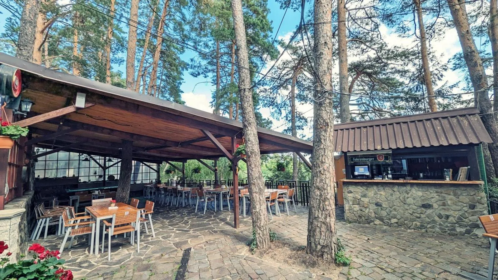 Complex Parc Pini Moinesti