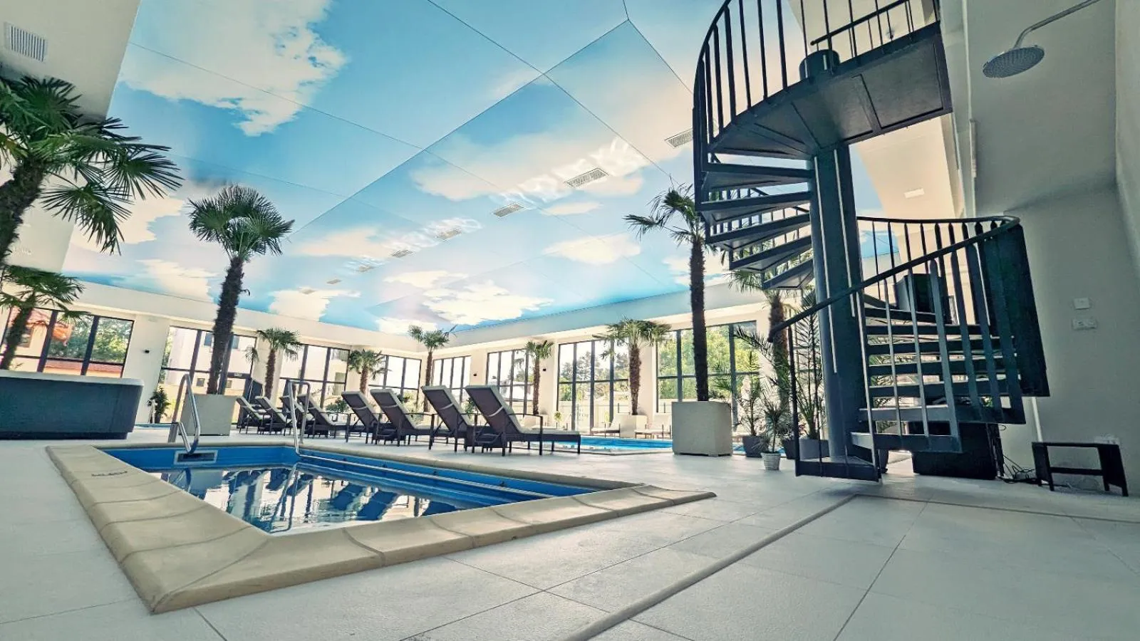 Complex Parc Pini Moinesti