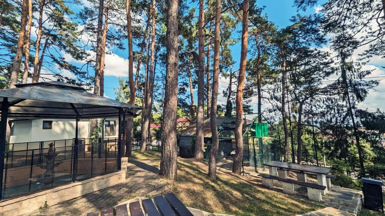 Complex Parc Pini Moinesti