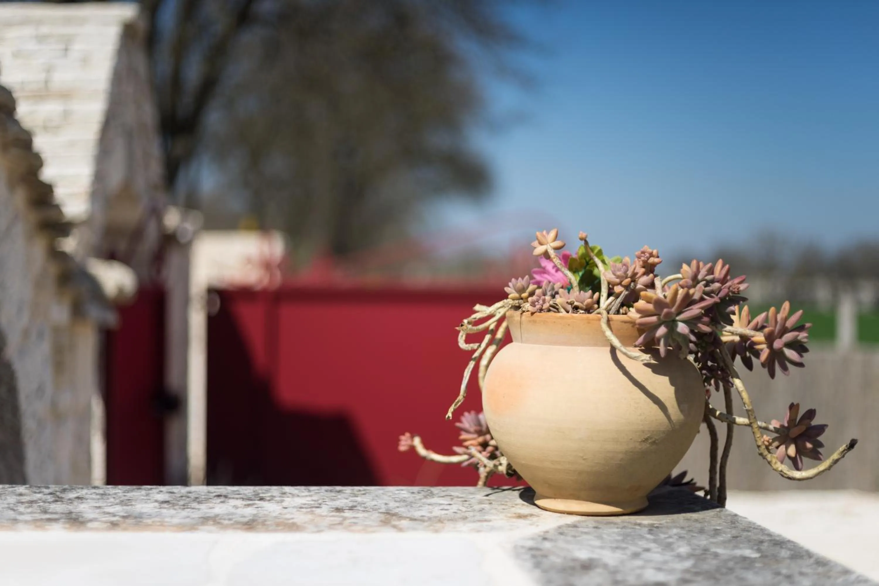 Property building in Le Dieci Porte