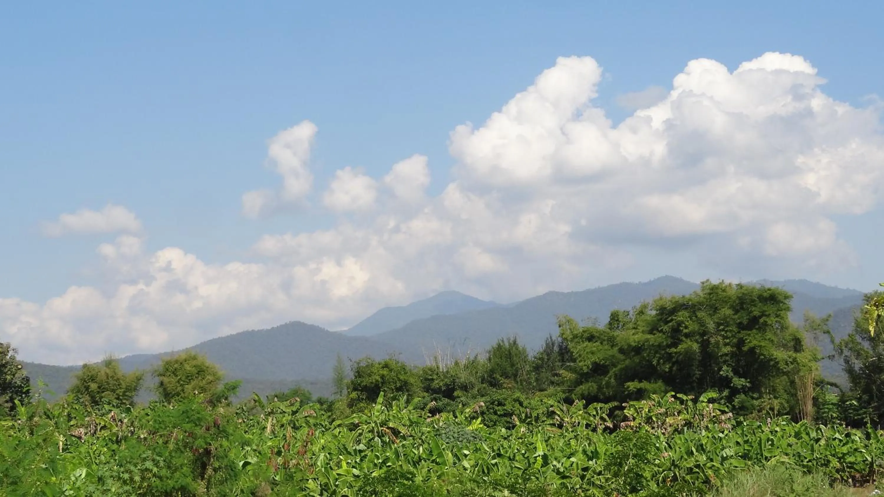 Property building in Riverside