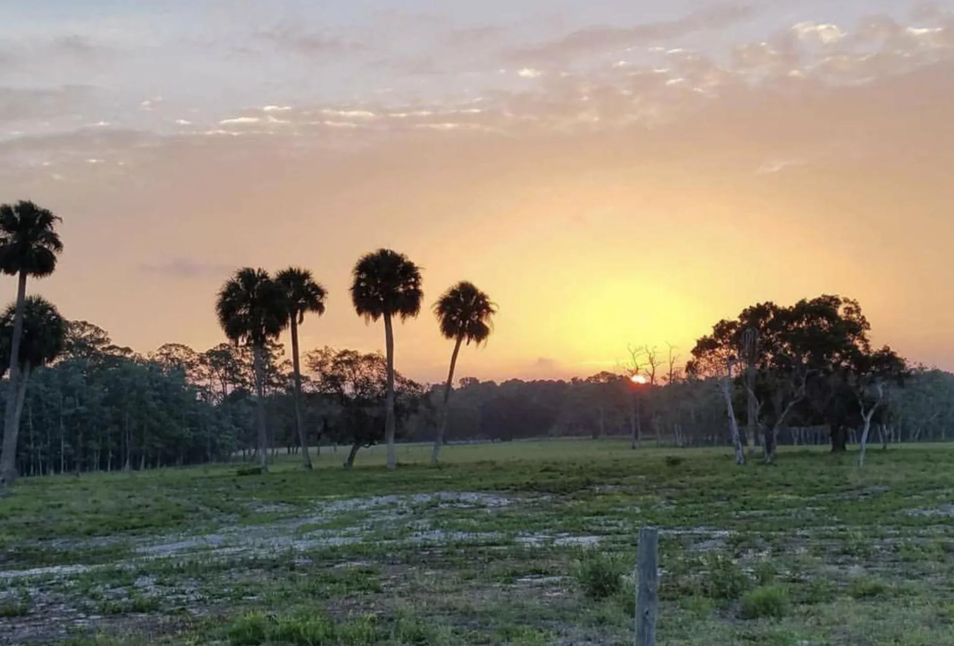 Other in Seminole Inn