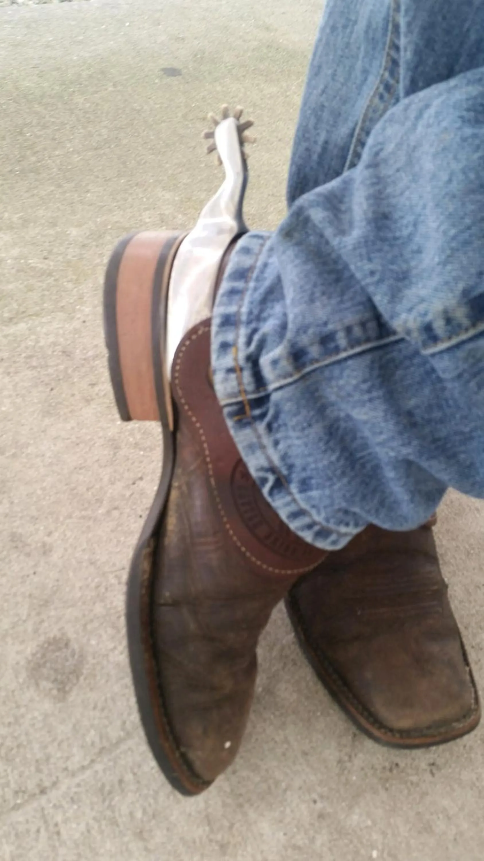 Horse-riding in Seminole Inn