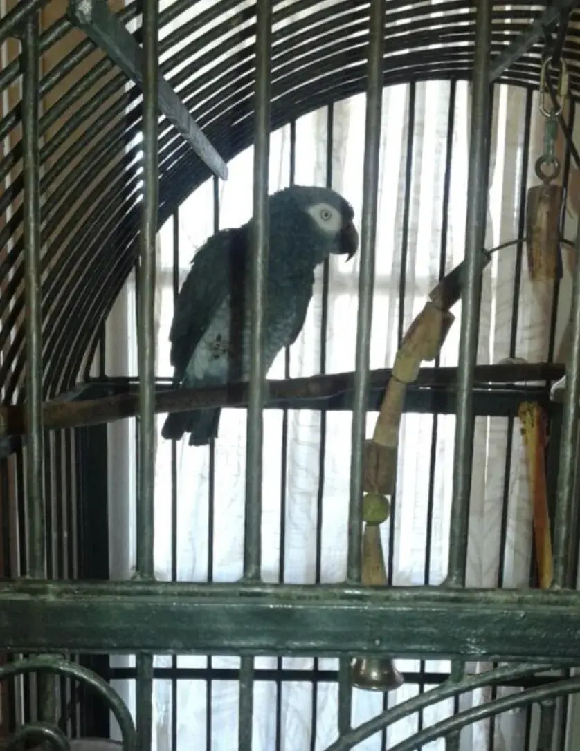 Facade/entrance in Seminole Inn Facade/entrance in Seminole Inn