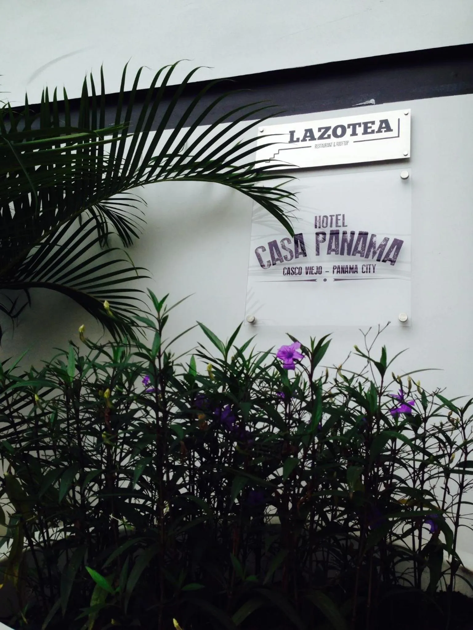 Day in Hotel Casa Panama