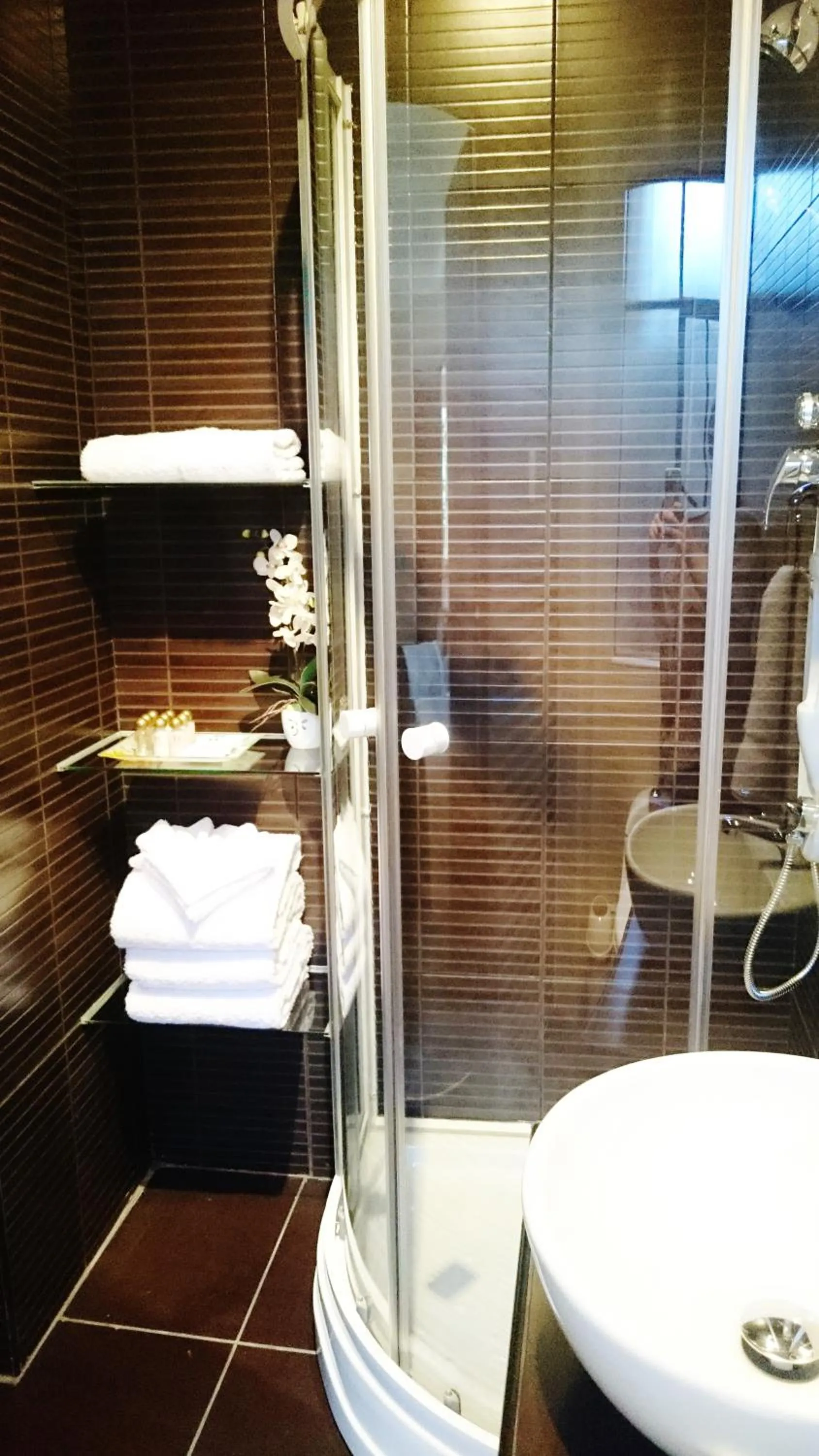 Shower in Los Leones Hotel Boutique