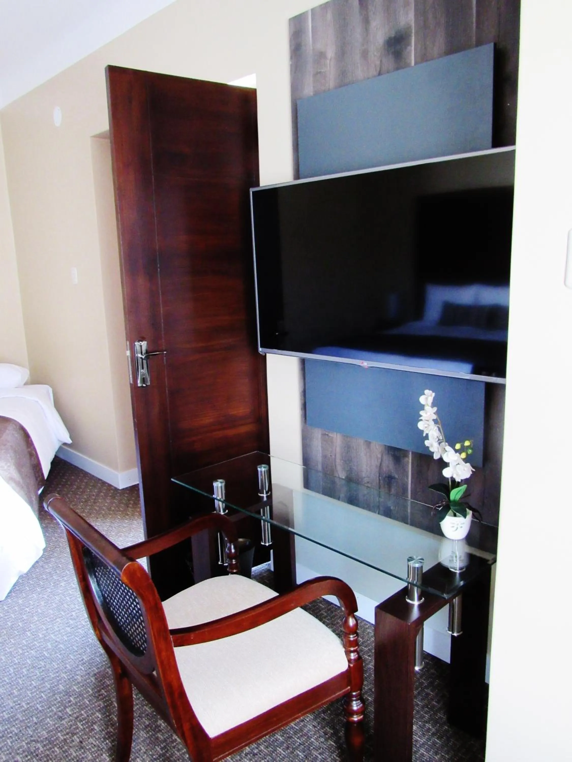 TV and multimedia in Los Leones Hotel Boutique