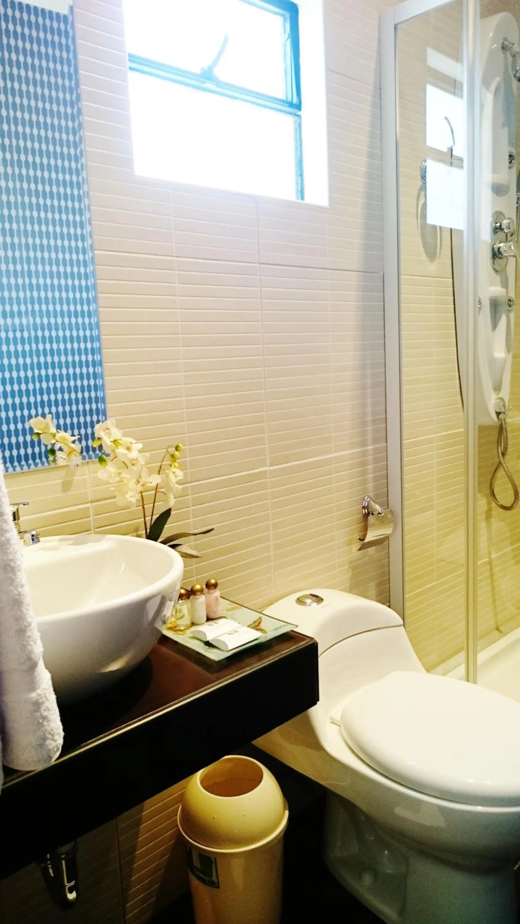 Shower in Los Leones Hotel Boutique