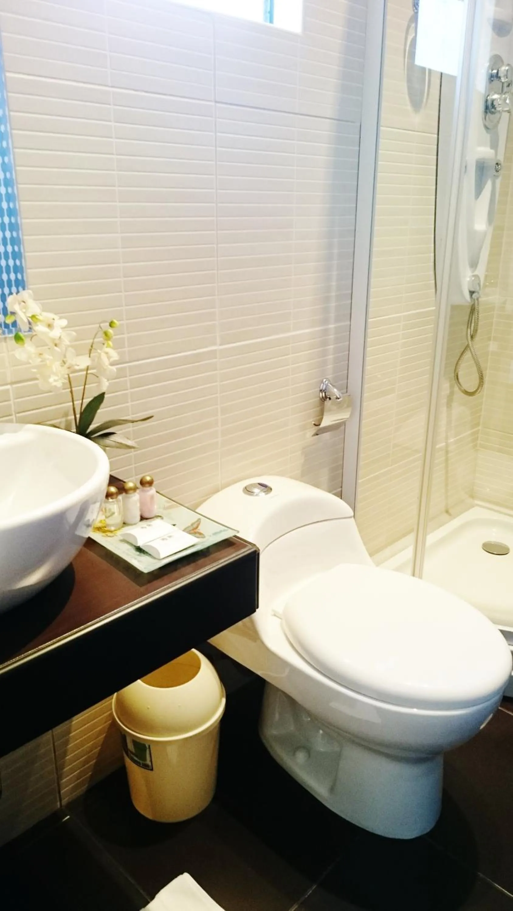 Shower in Los Leones Hotel Boutique