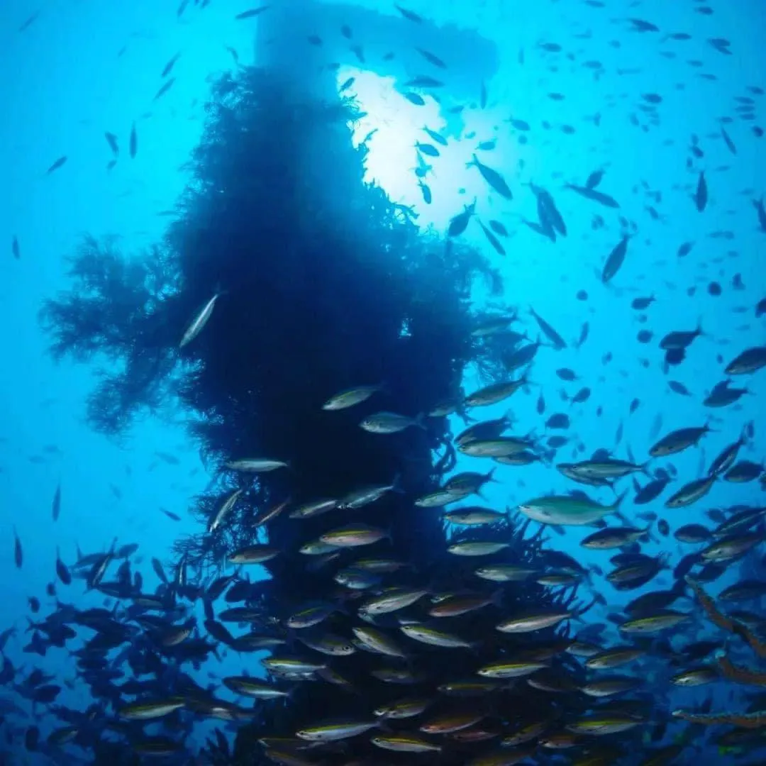 Chindonan Dive and Beach Resort