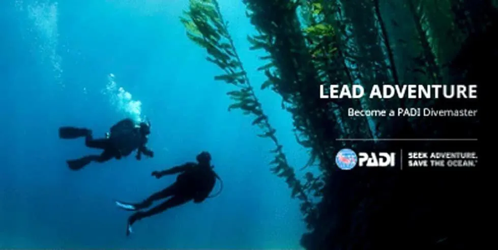 Chindonan Dive and Beach Resort