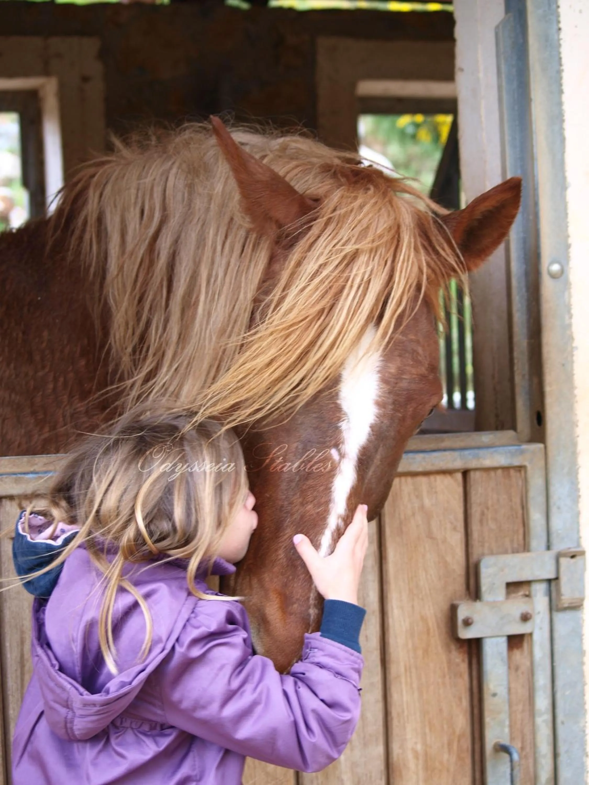 Day in Country Hotel Velani