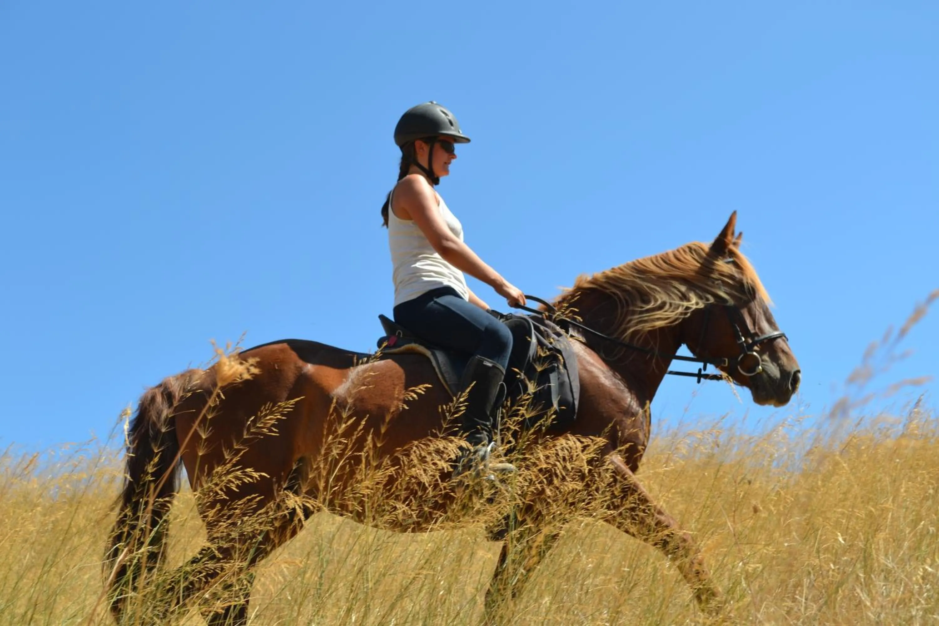 Horse-riding in Country Hotel Velani