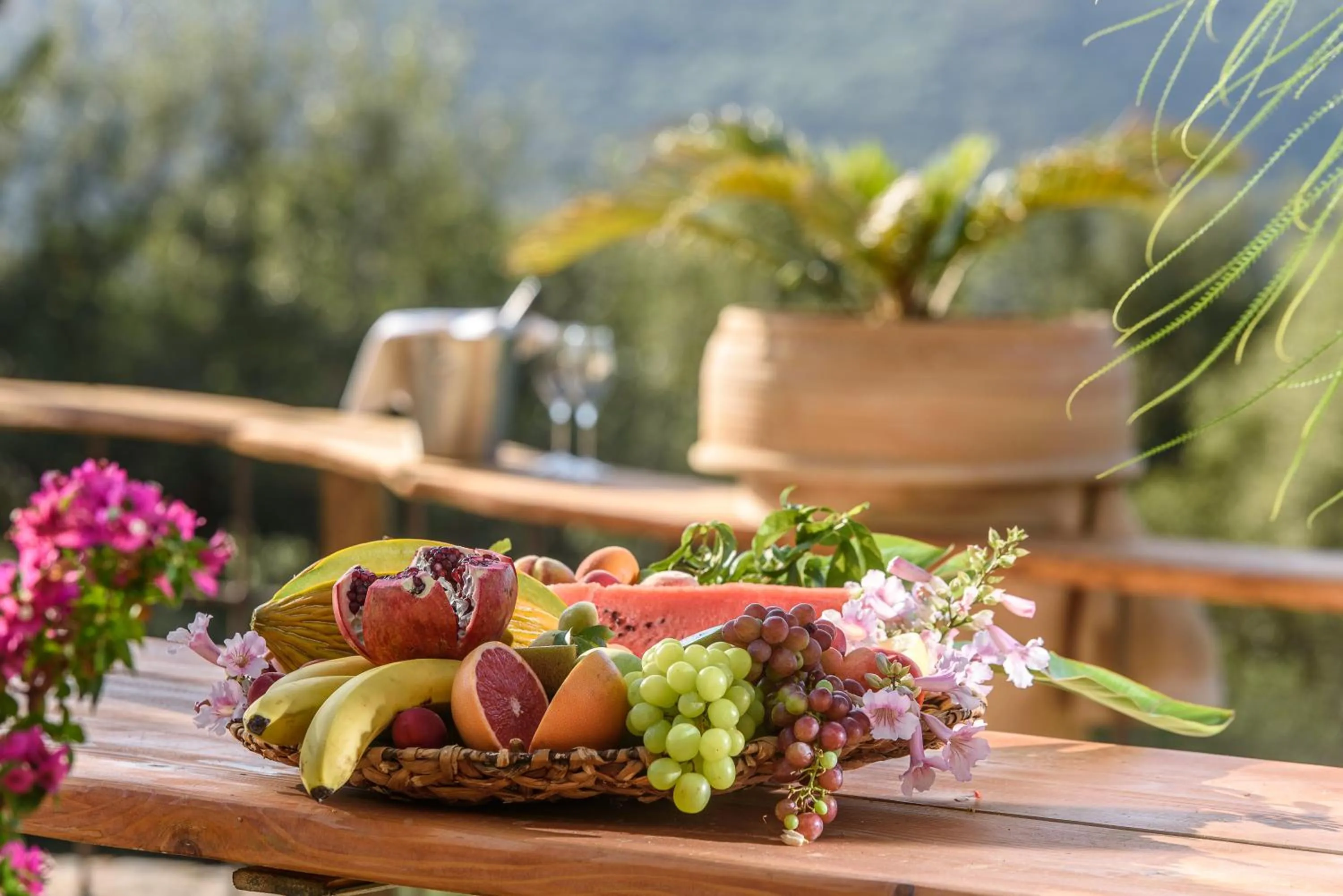 Food and drinks in Country Hotel Velani