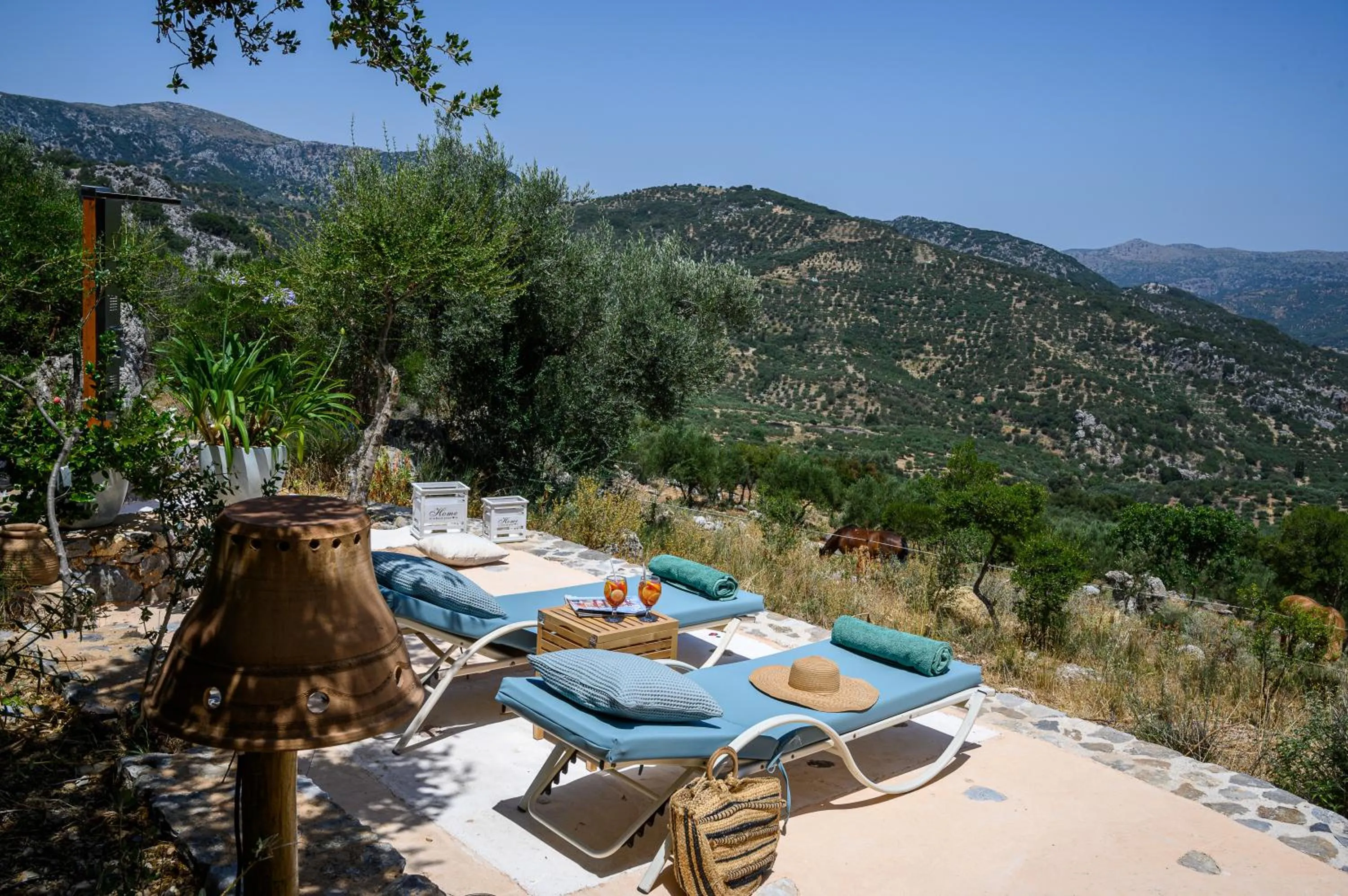 Garden in Country Hotel Velani