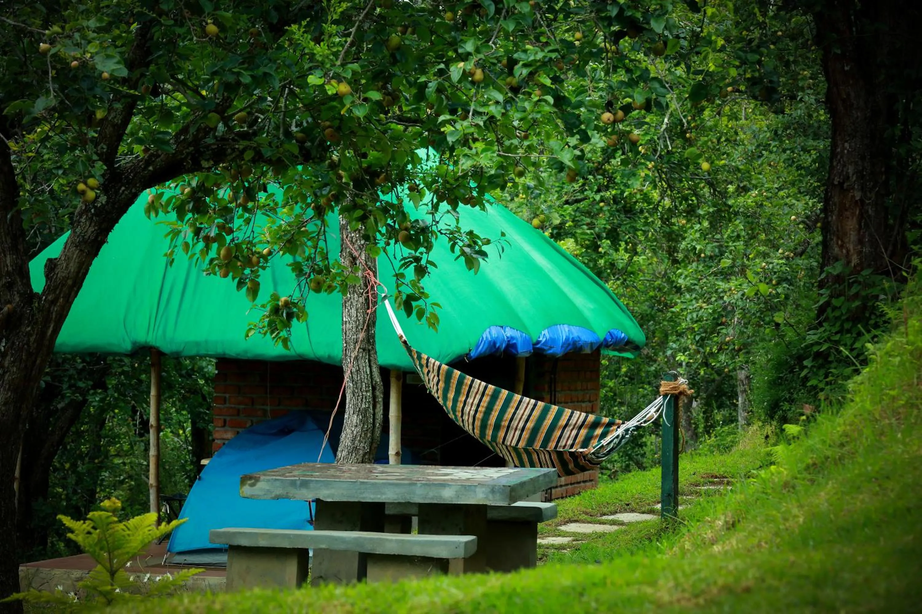 Other in The Pear County