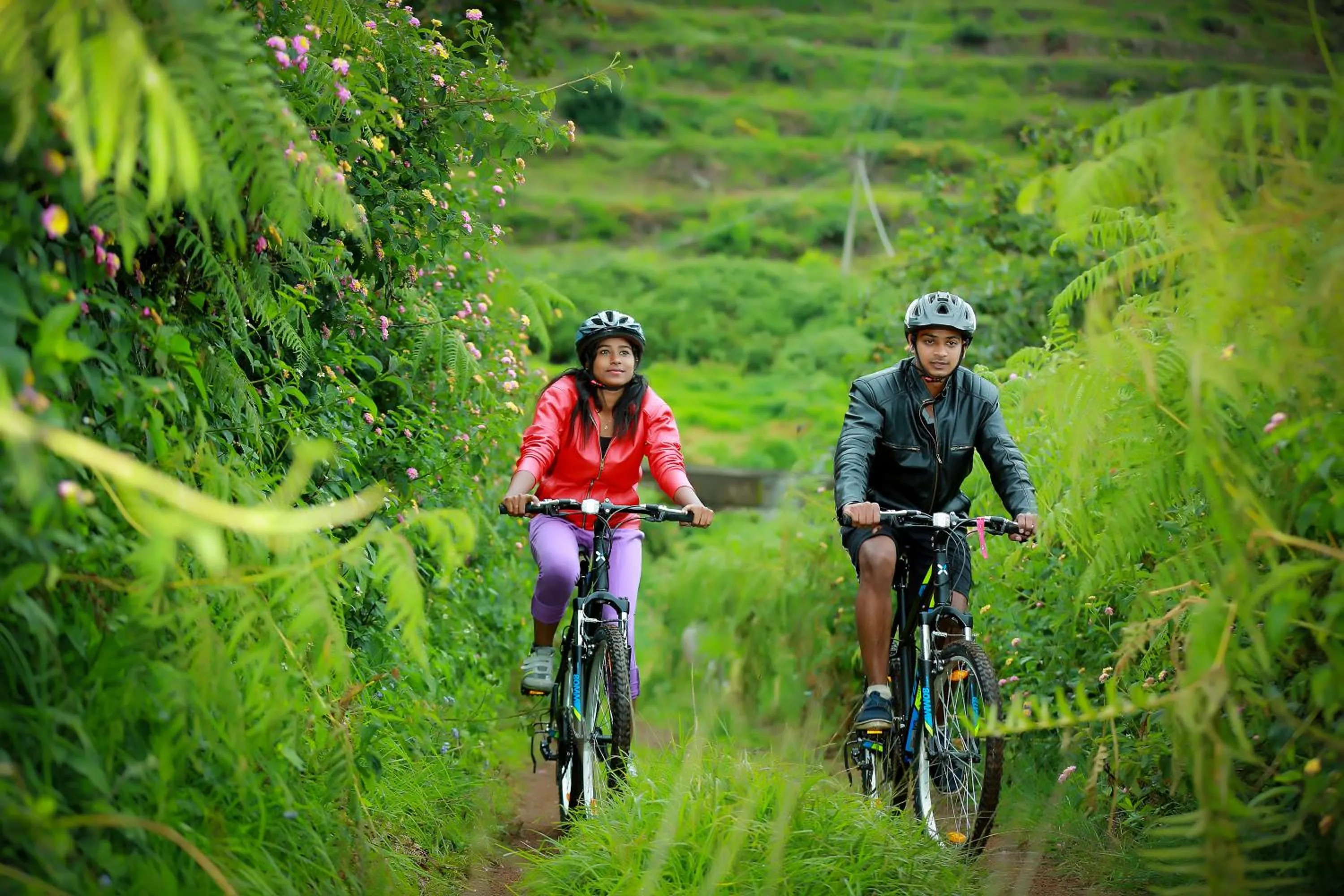 Activities in The Pear County