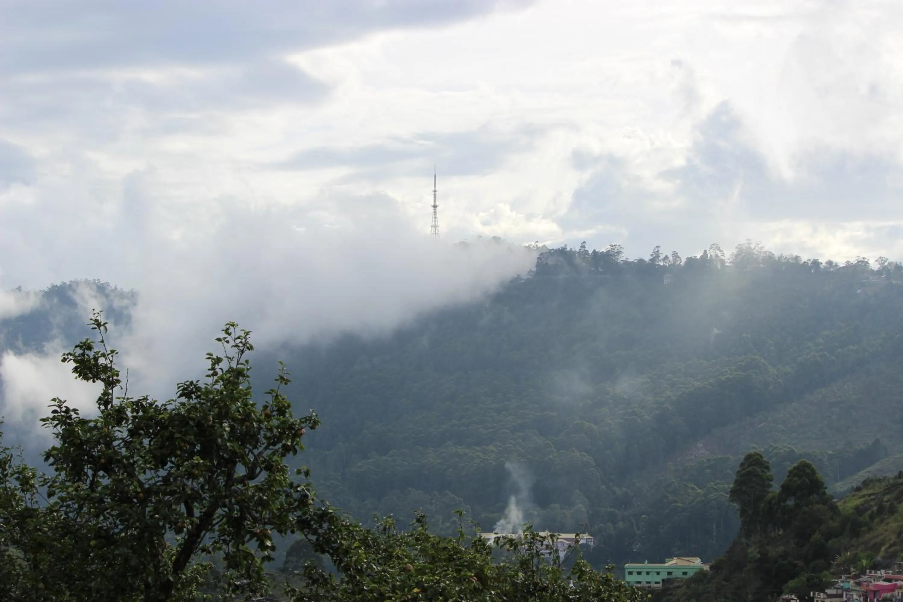 Mountain view in The Pear County