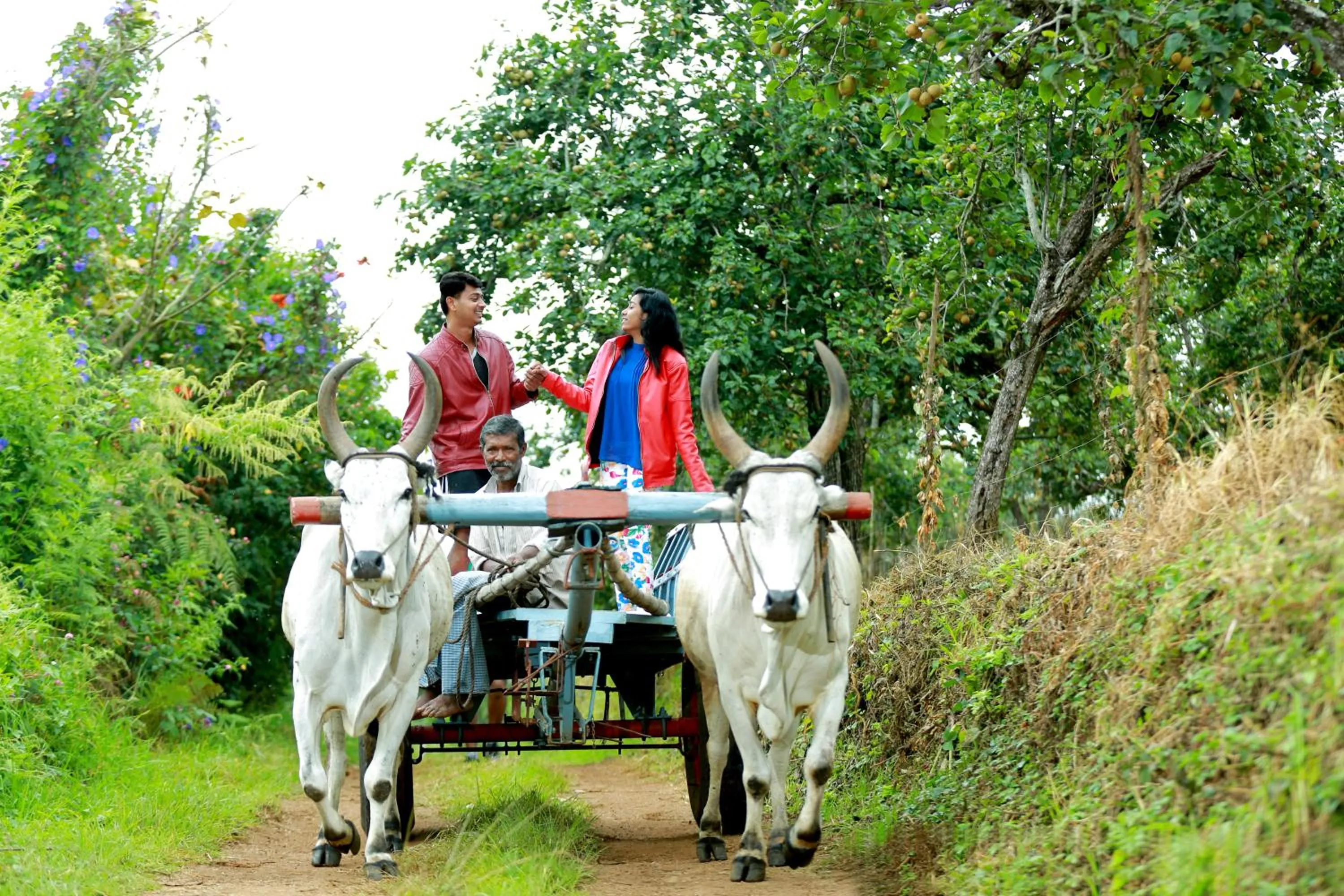 Activities in The Pear County