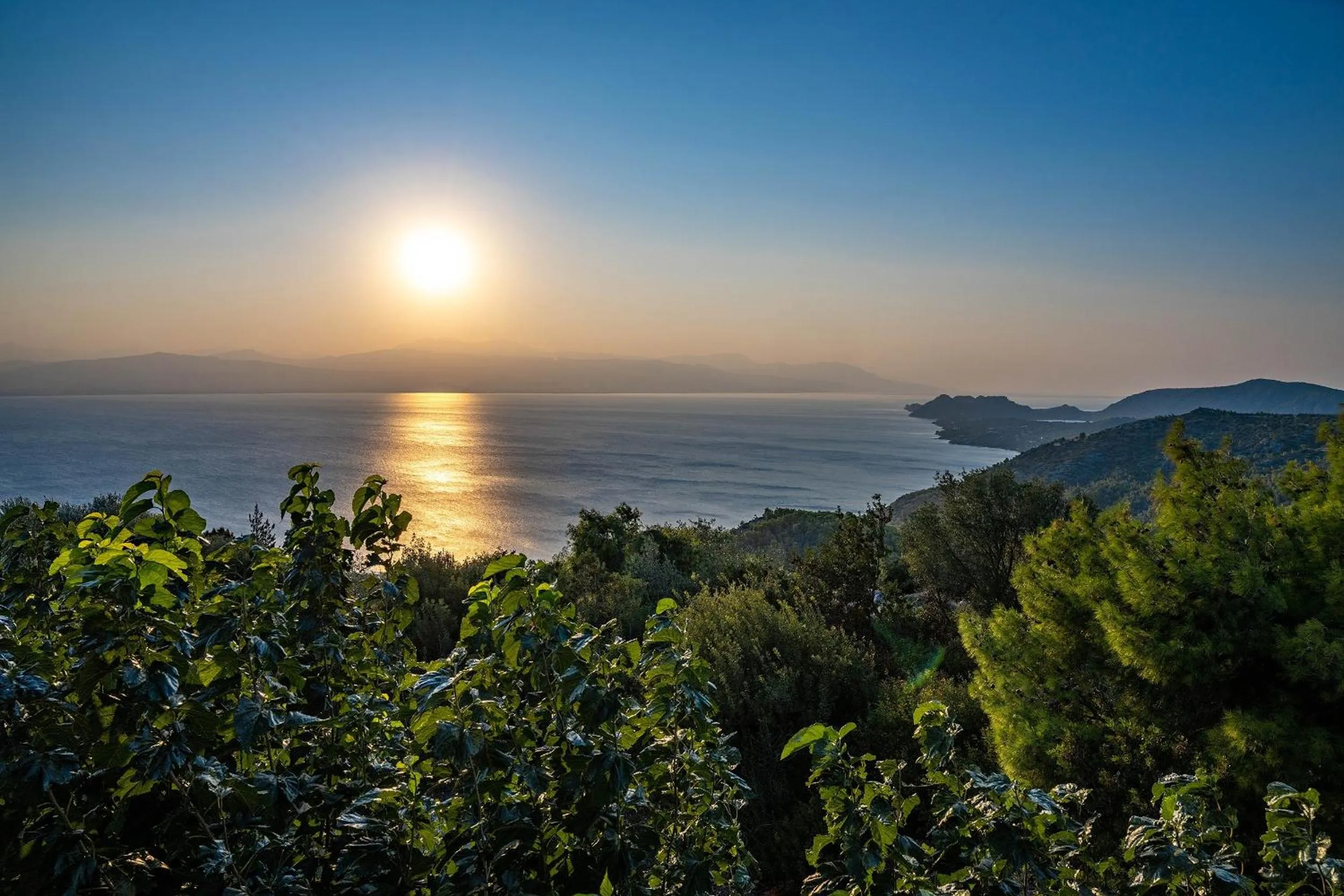 View (from property/room) in Genesis Hotel