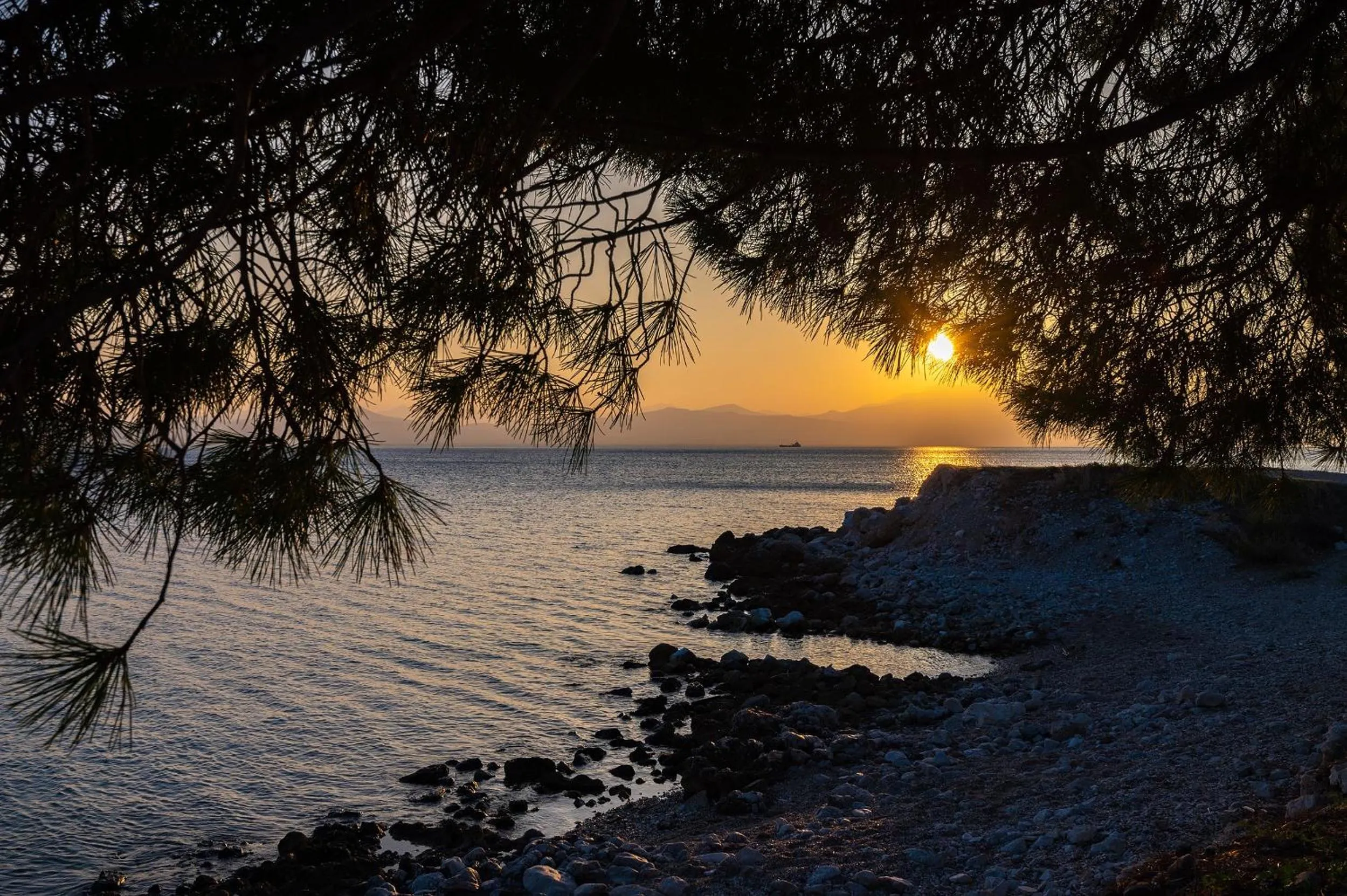 Sea view in Genesis Hotel