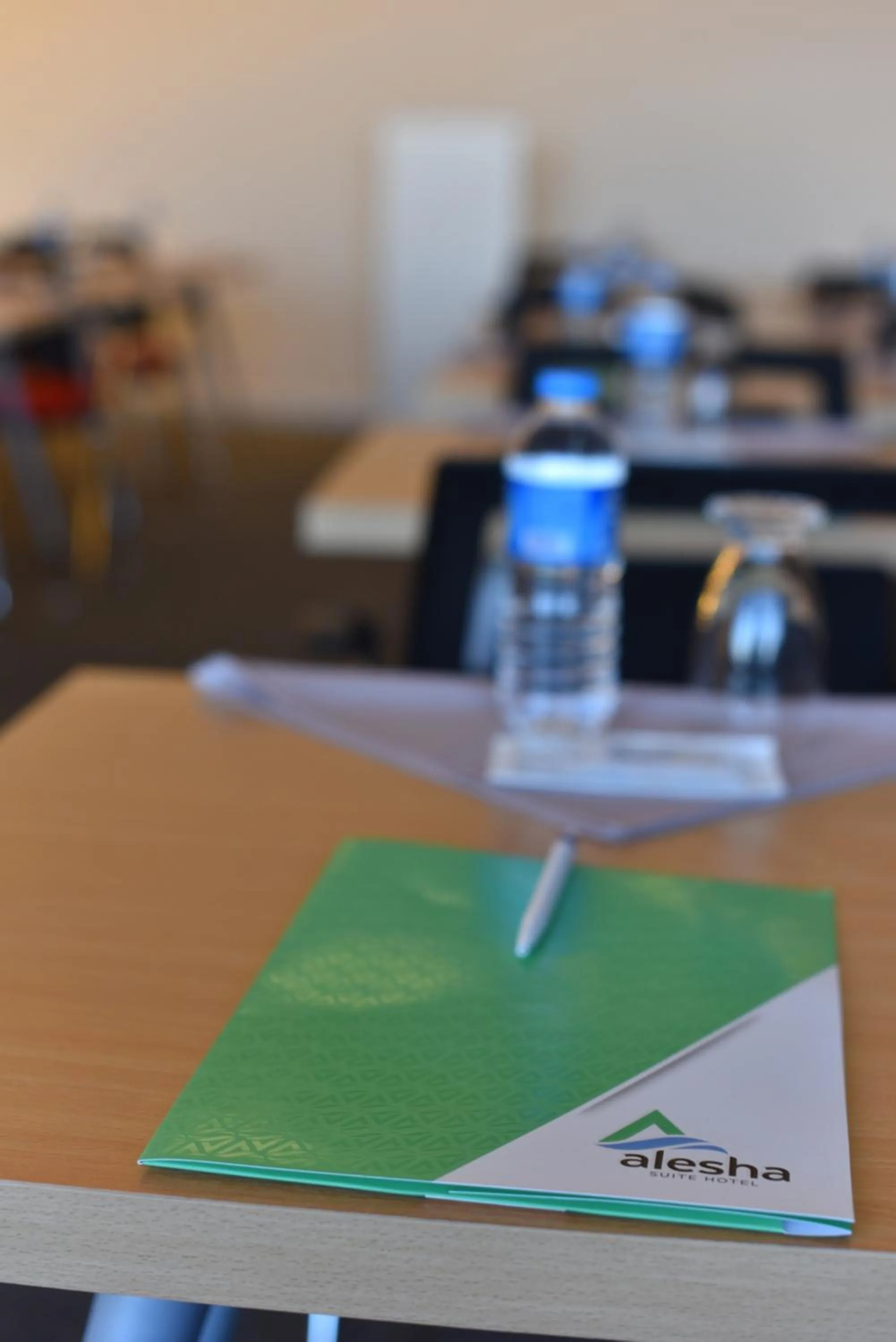 Meeting/conference room in Alesha Suite Otel