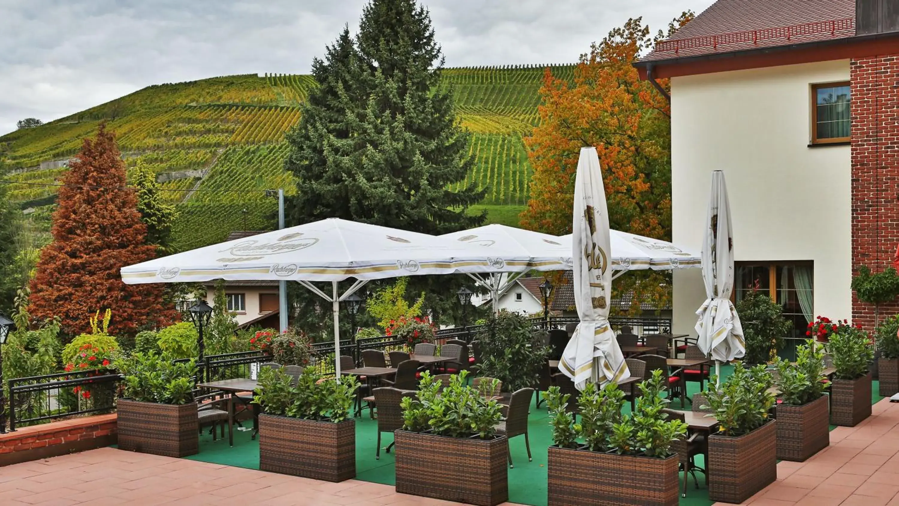 Restaurant/places to eat in Hotel Rebstock Restaurant/places to eat in Hotel Rebstock