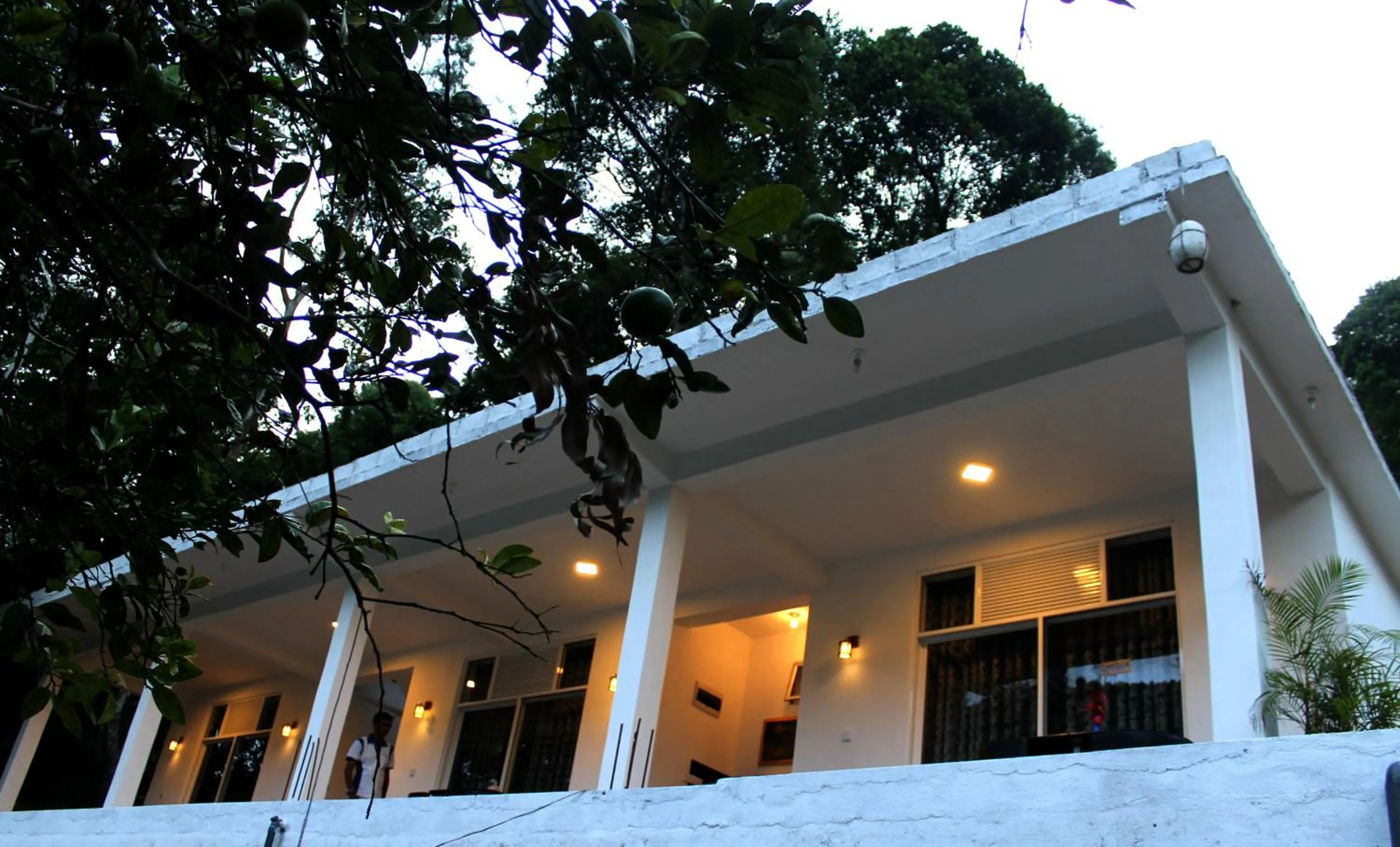 Property building in Ella Rock Land
