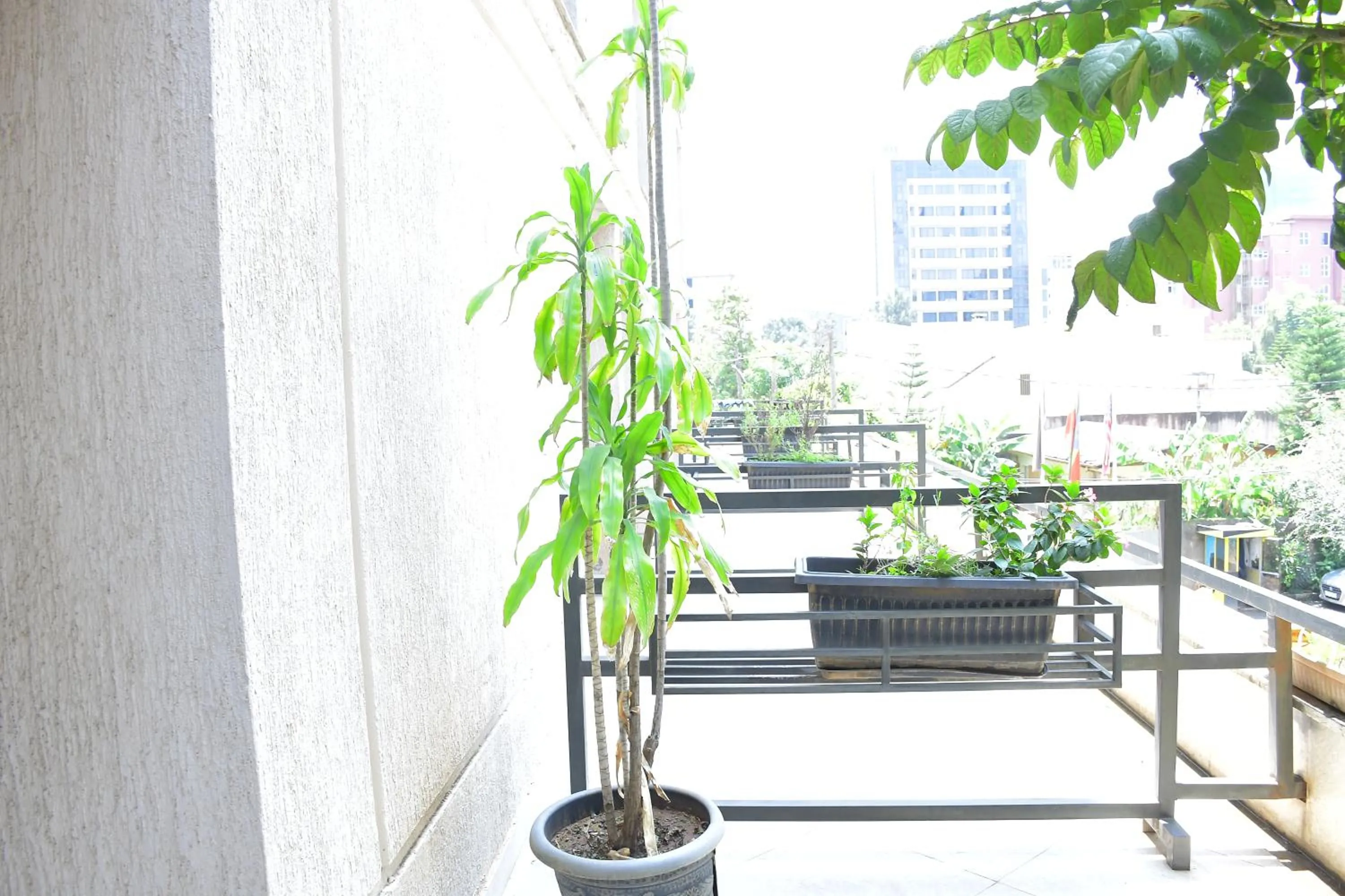 Patio in Sun View Hotel
