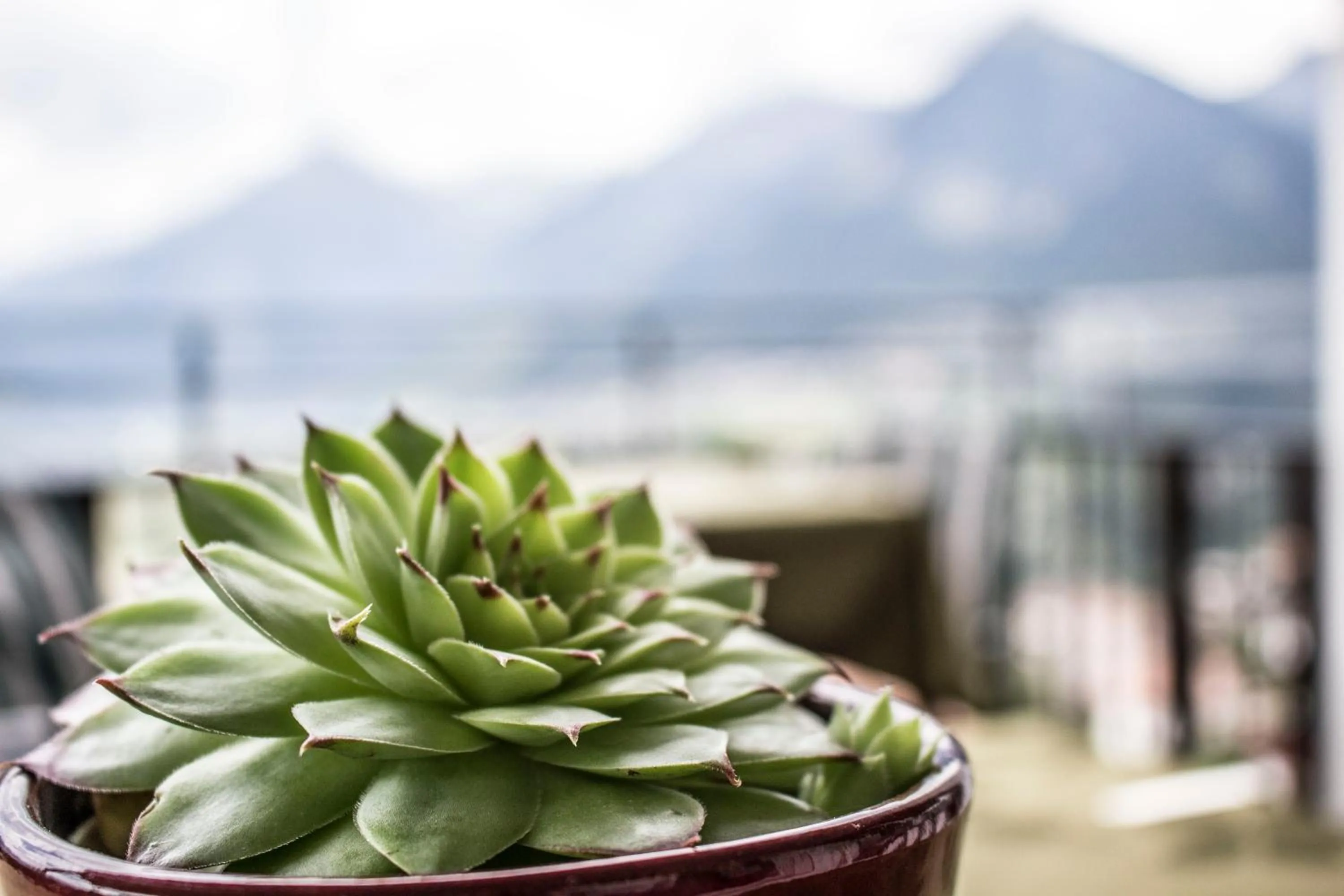 Nearby landmark in Schenna Garni Eden Bed & Breakfast